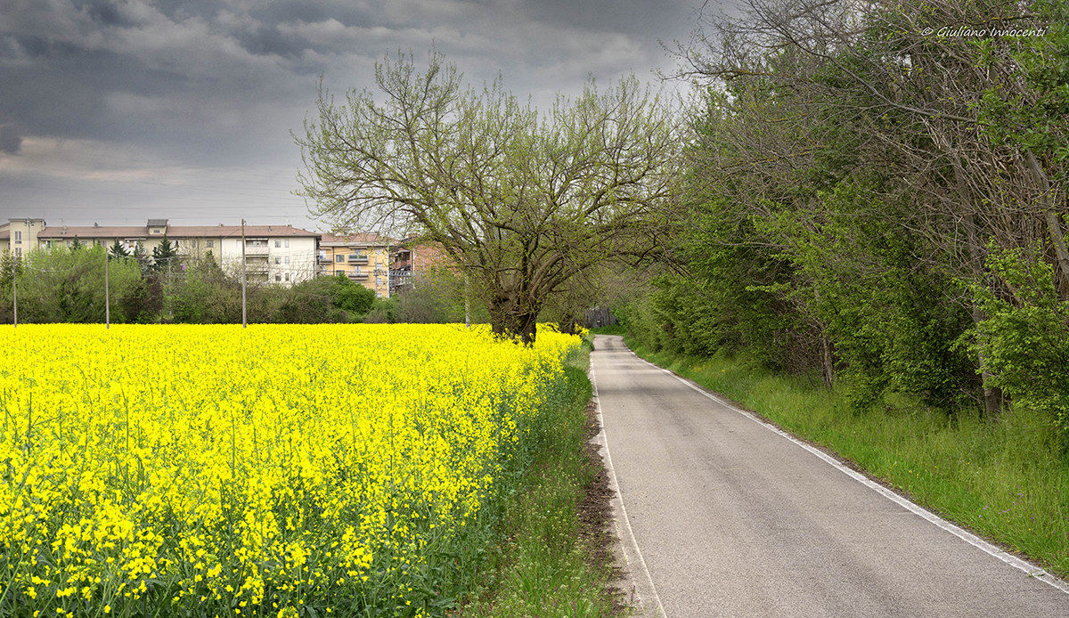 Una stradina fuori città