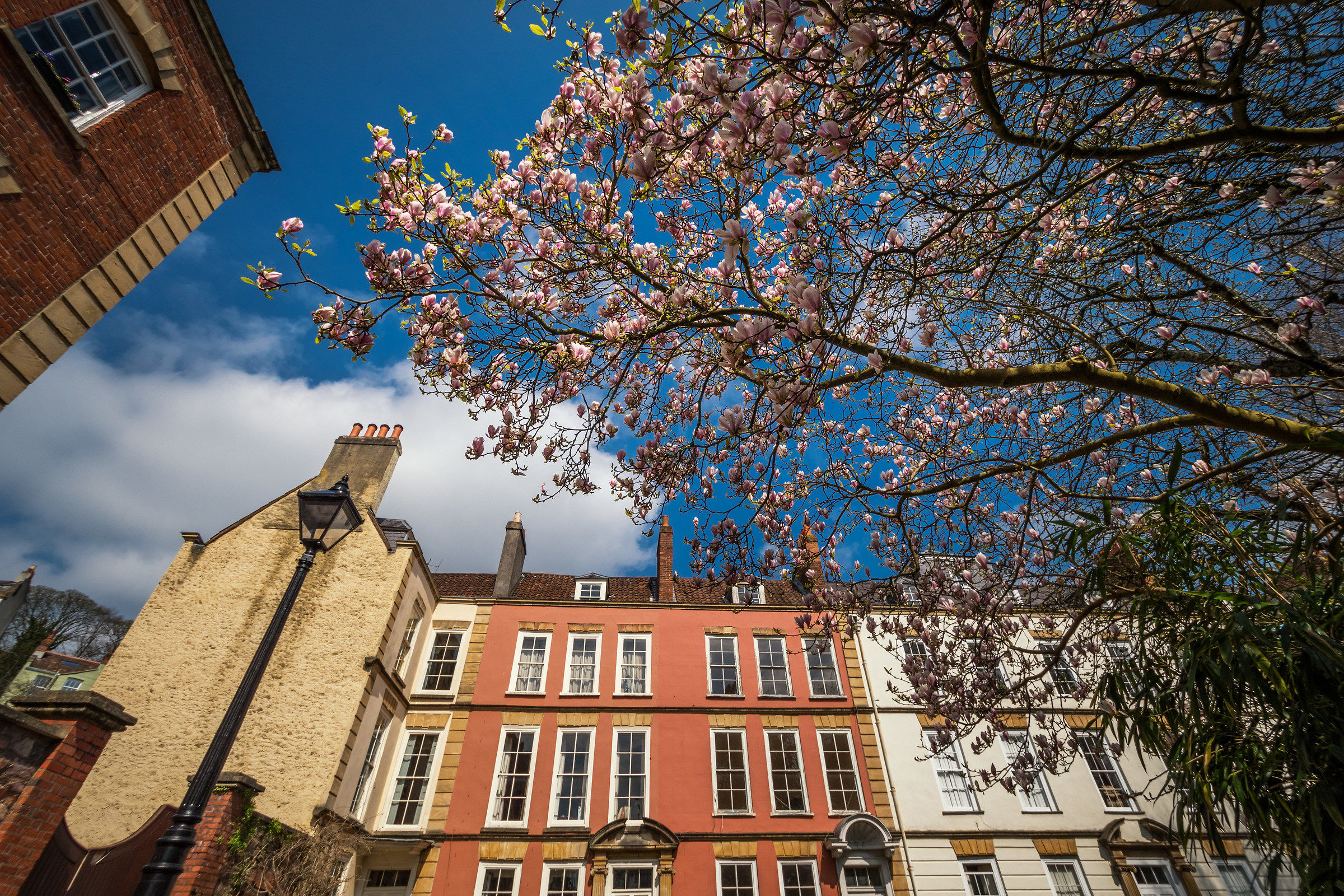 Primavera è iniziata!