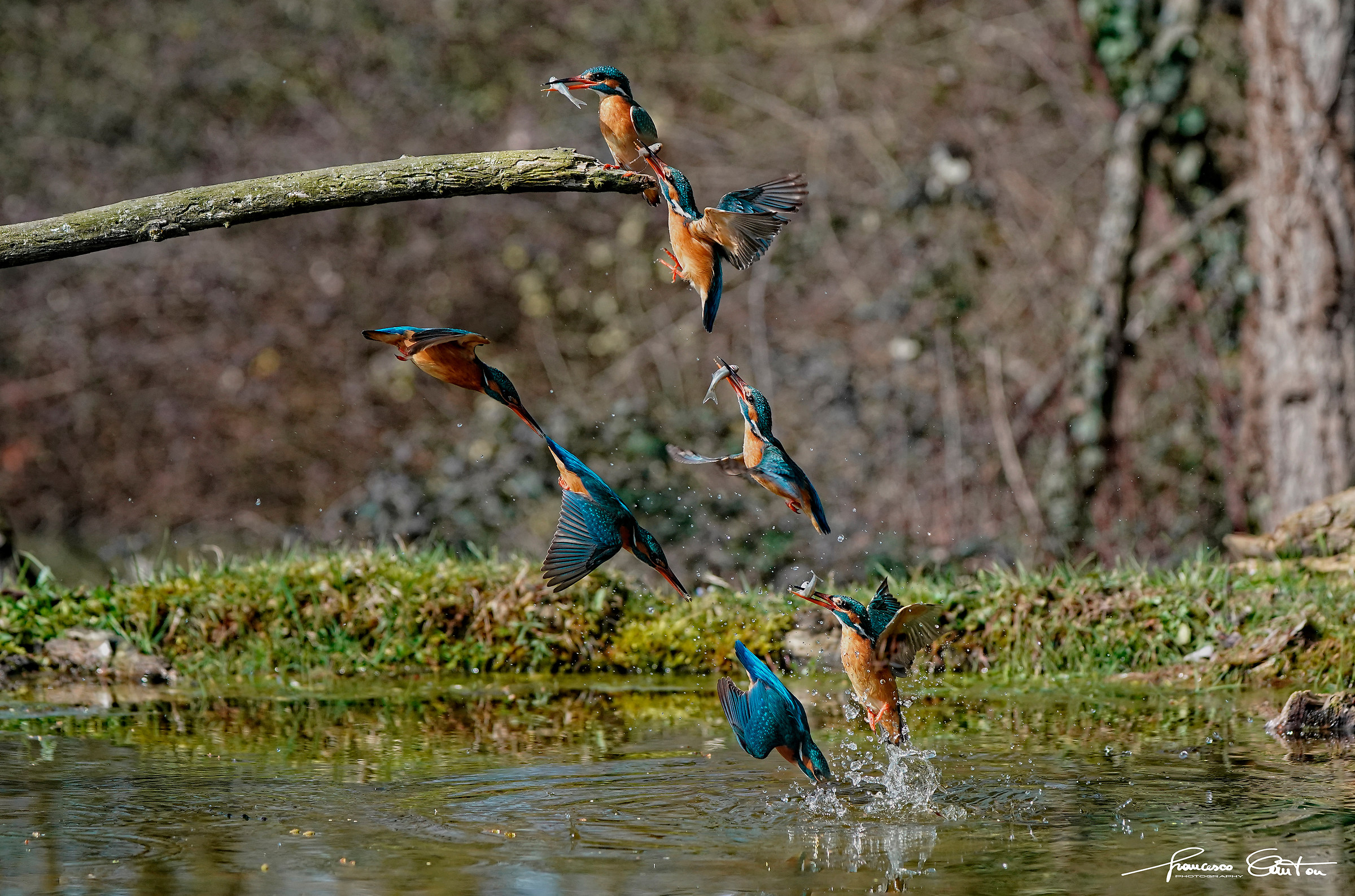 la pesca di Martina ;-)
