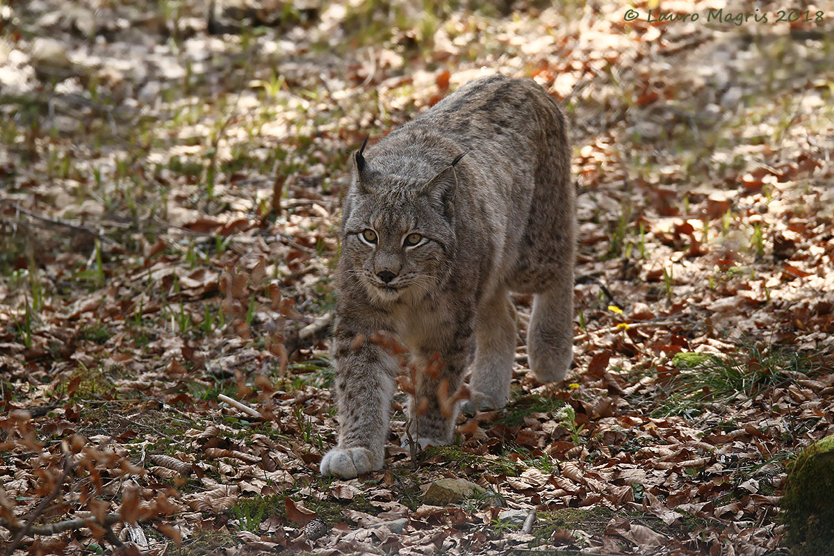 Four &amp; four &amp;