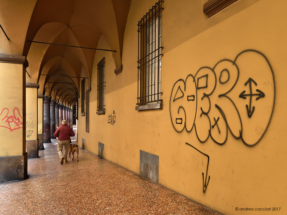 Walking with the dog under the arcades of Bologna