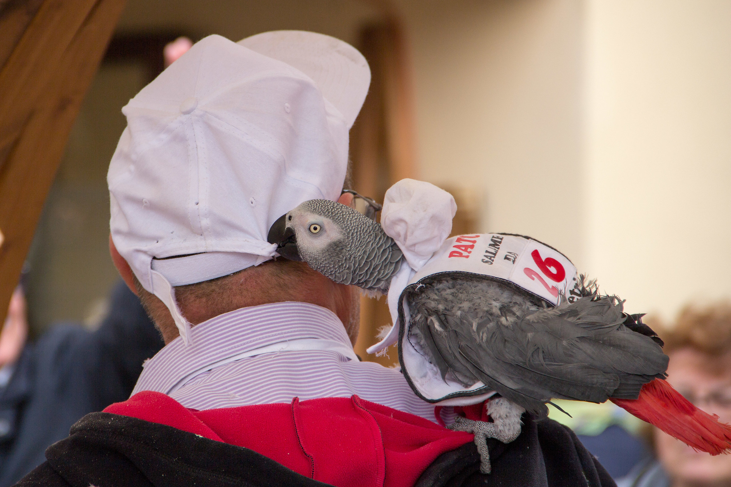 ...voglio il tuo cappello!!!