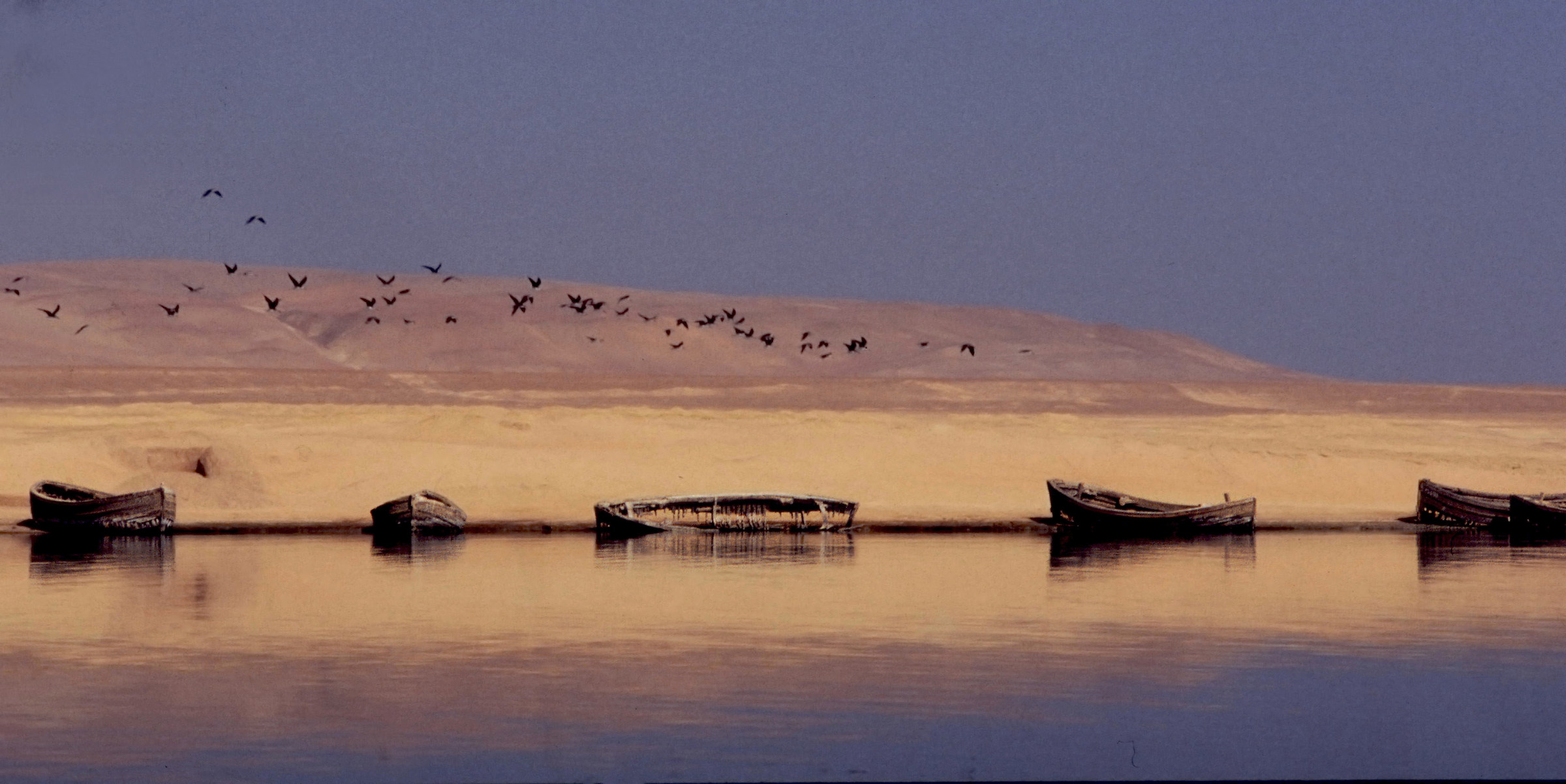 relitti sulla costa di paracas