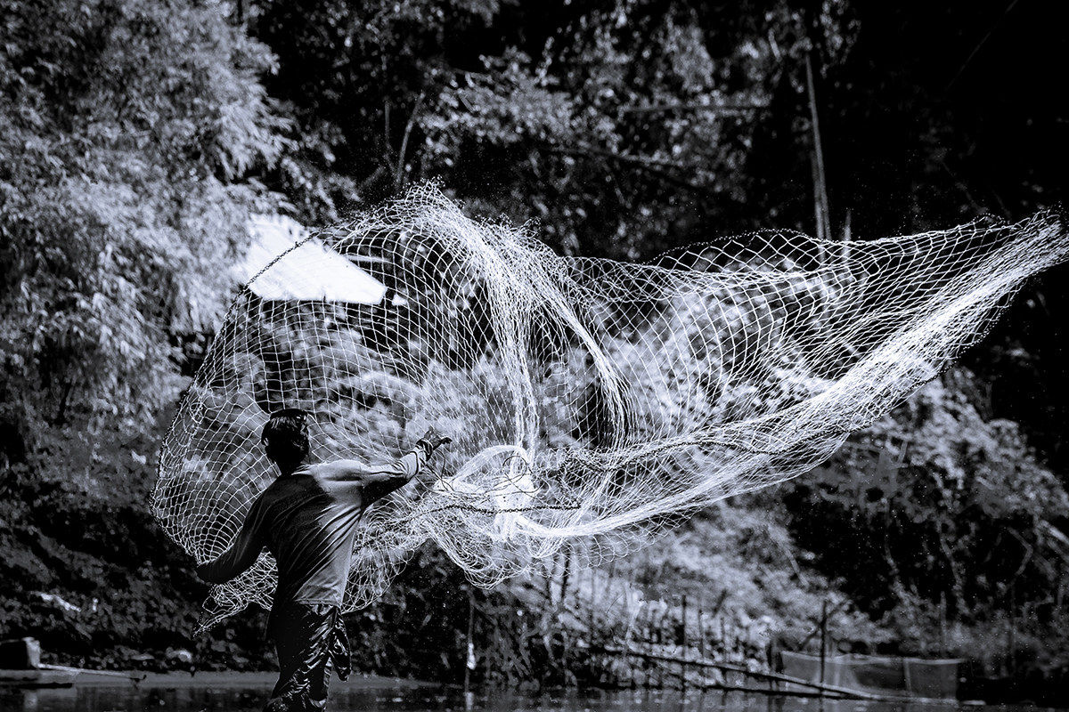 Getta le tue reti, buona pesca ci sarà!