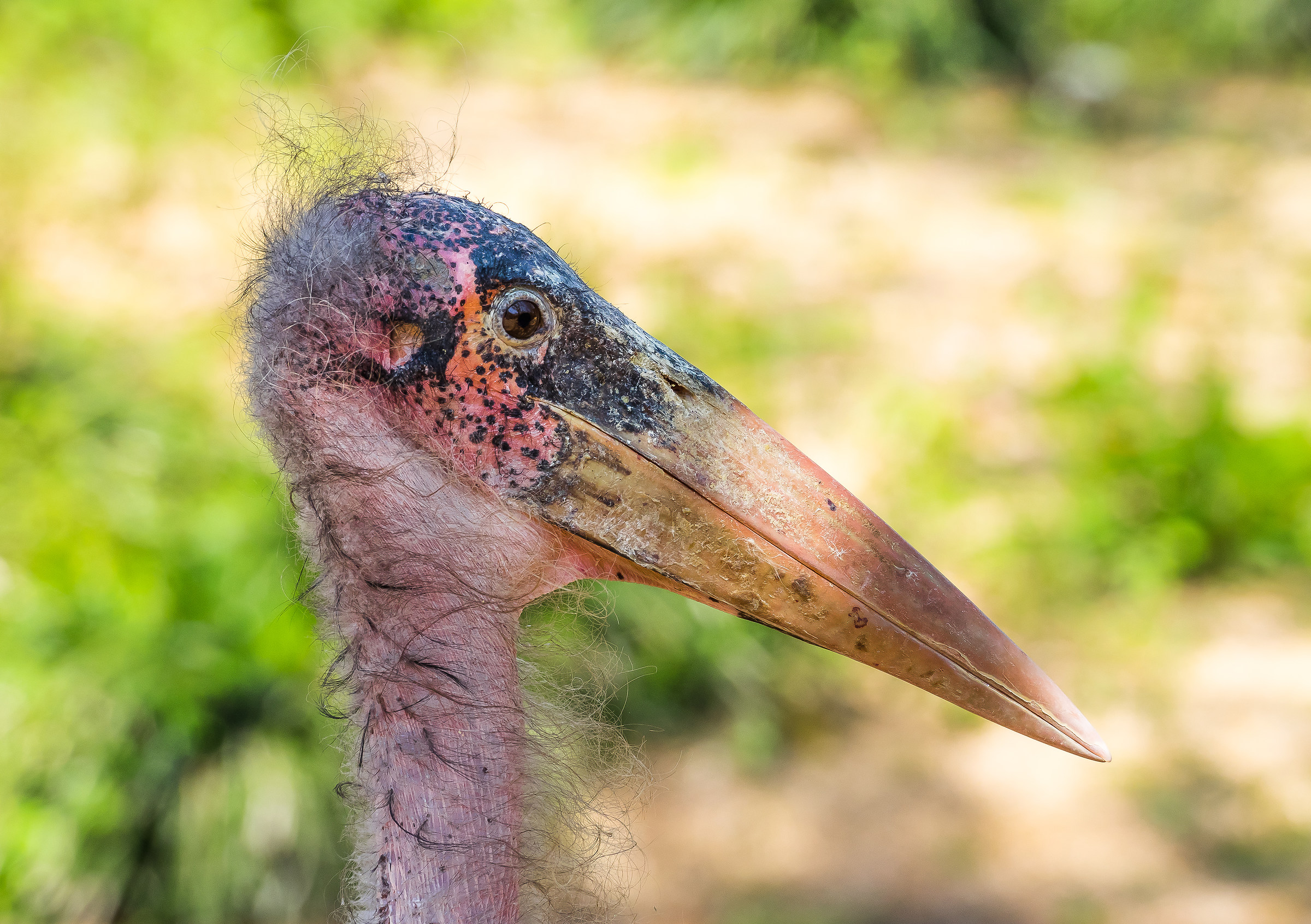 Ho avuto anche io giorni migliori........