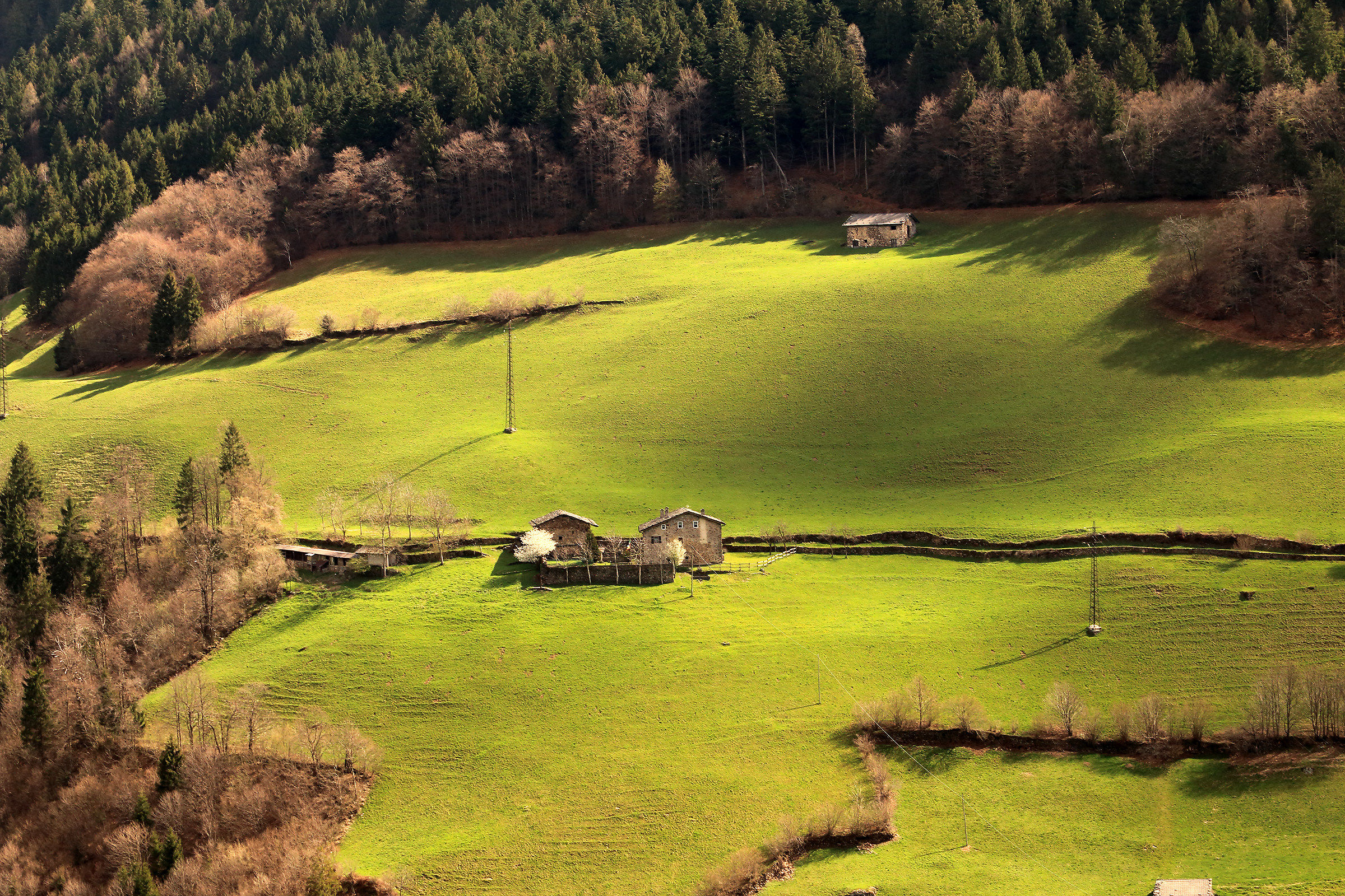 pastoral slopes of Gromo