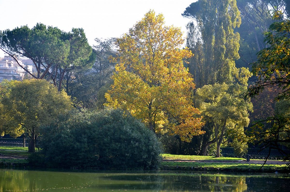 villa ada 1