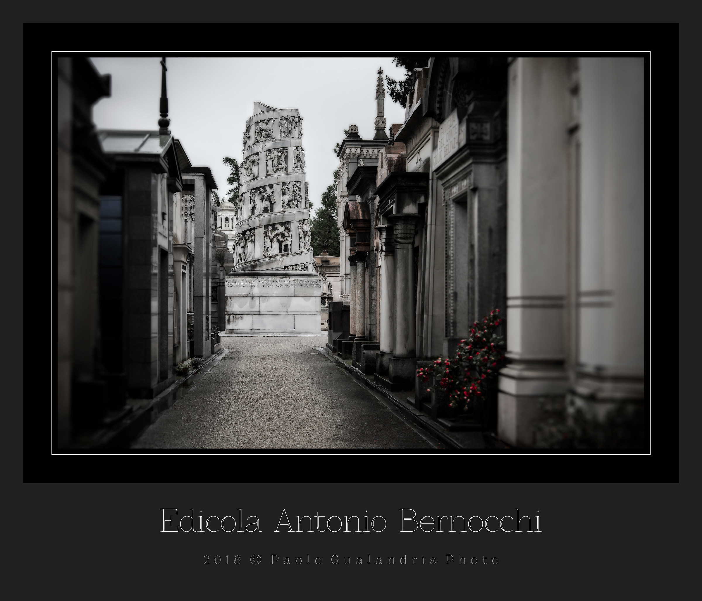 Newsstand Family Bernocchi