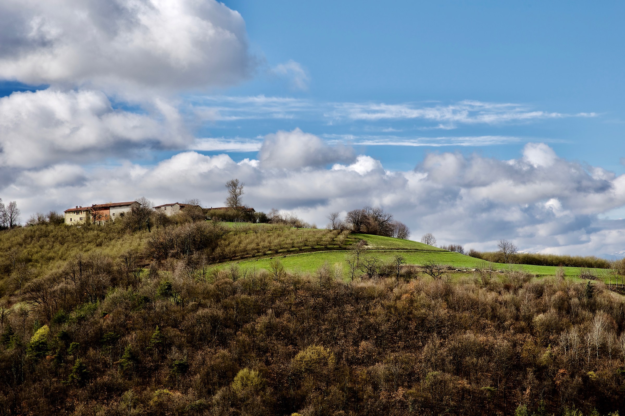 Primavera sulla collina delle Borine