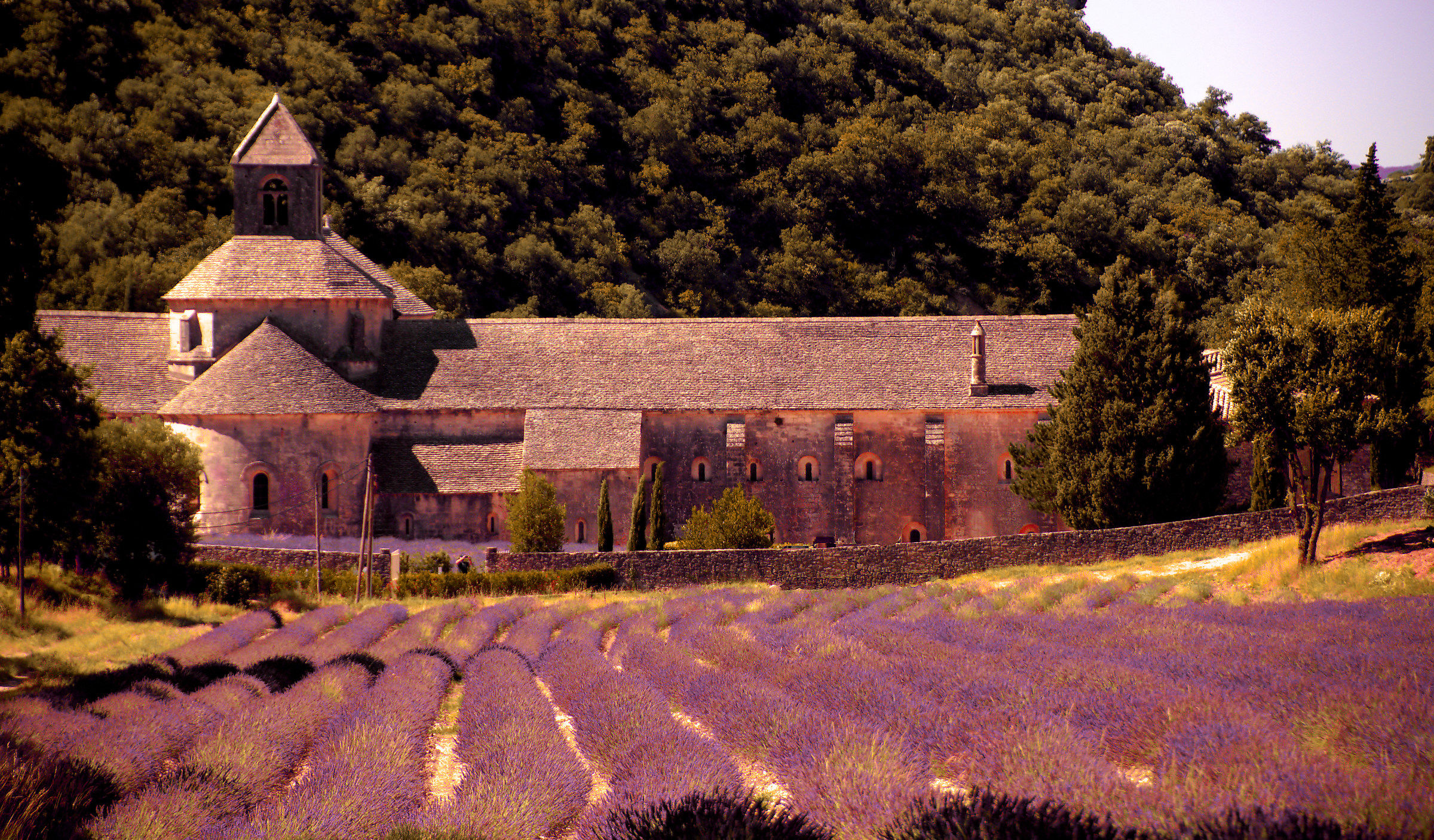 Abbey of Senanque