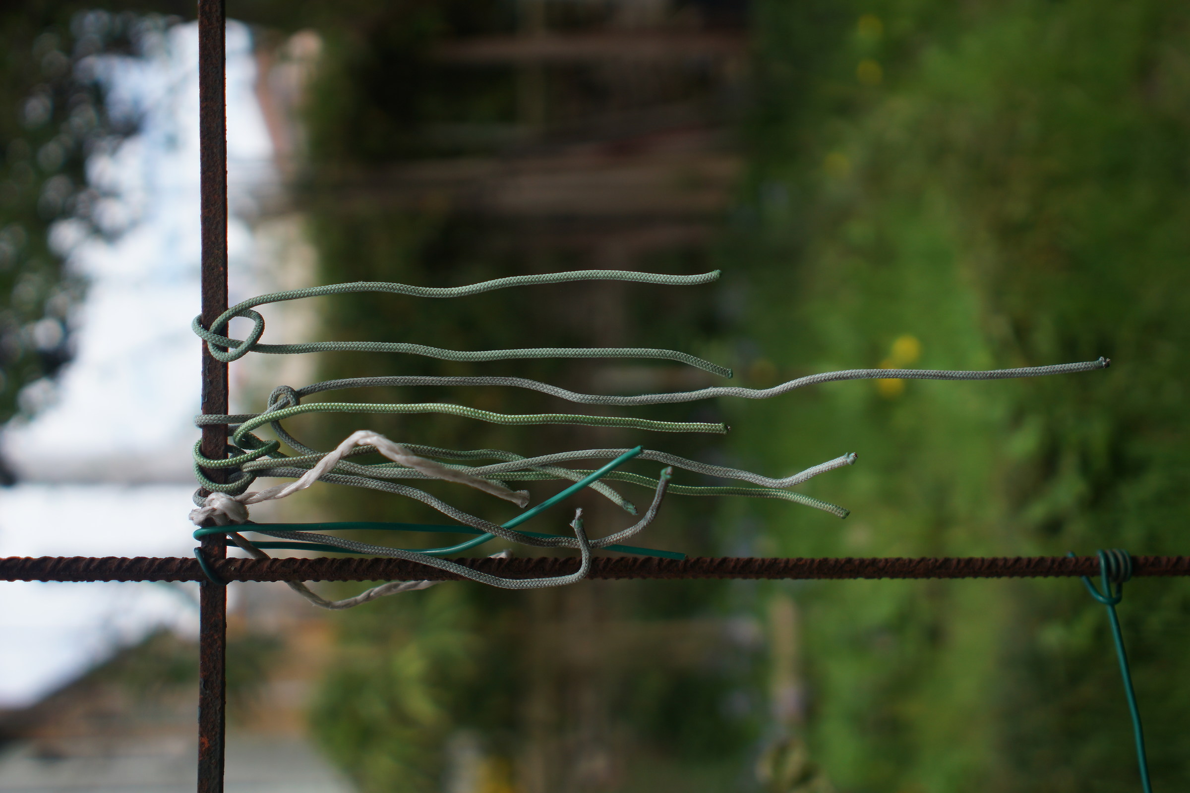 "absence of gravity"