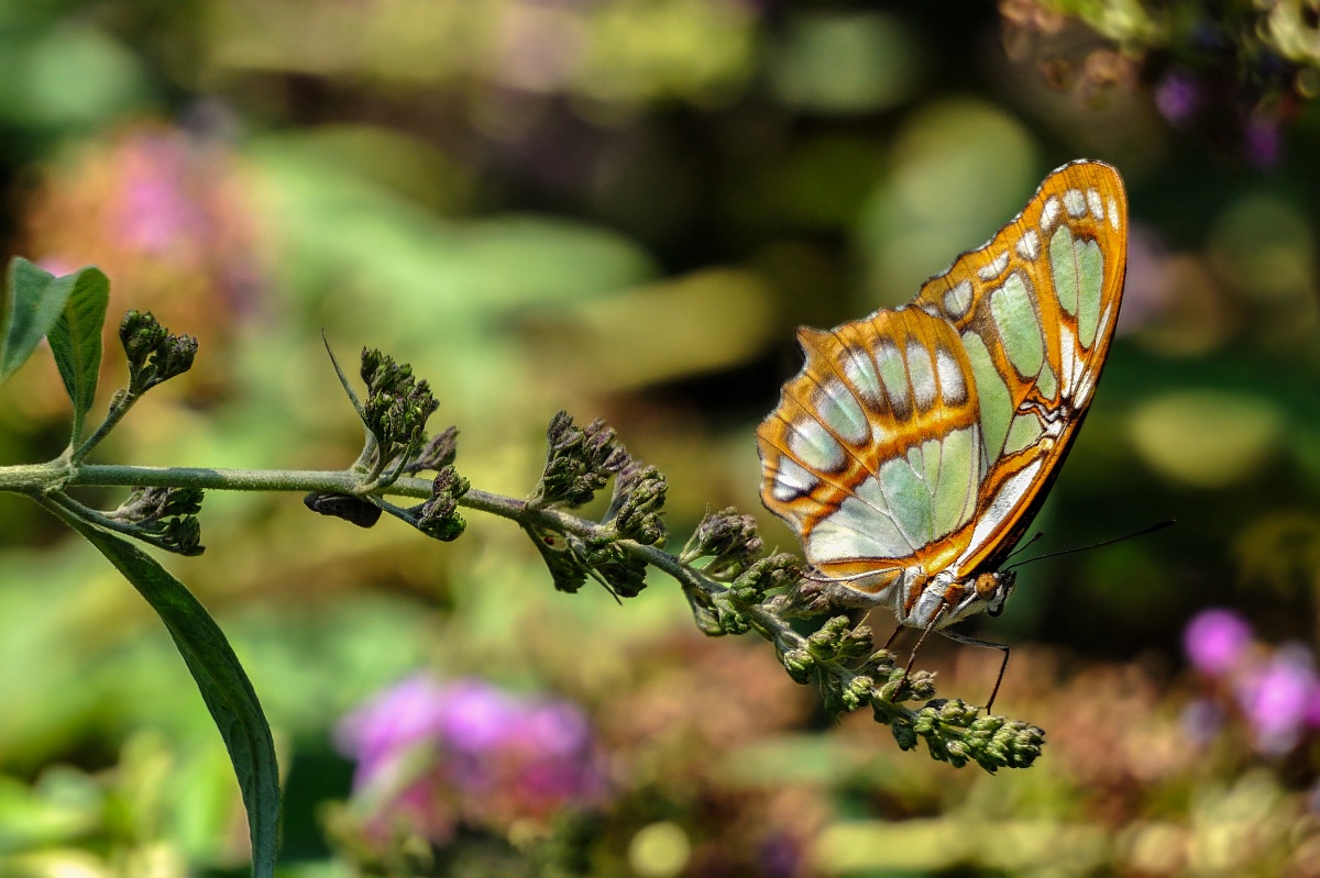 A second before the flight!