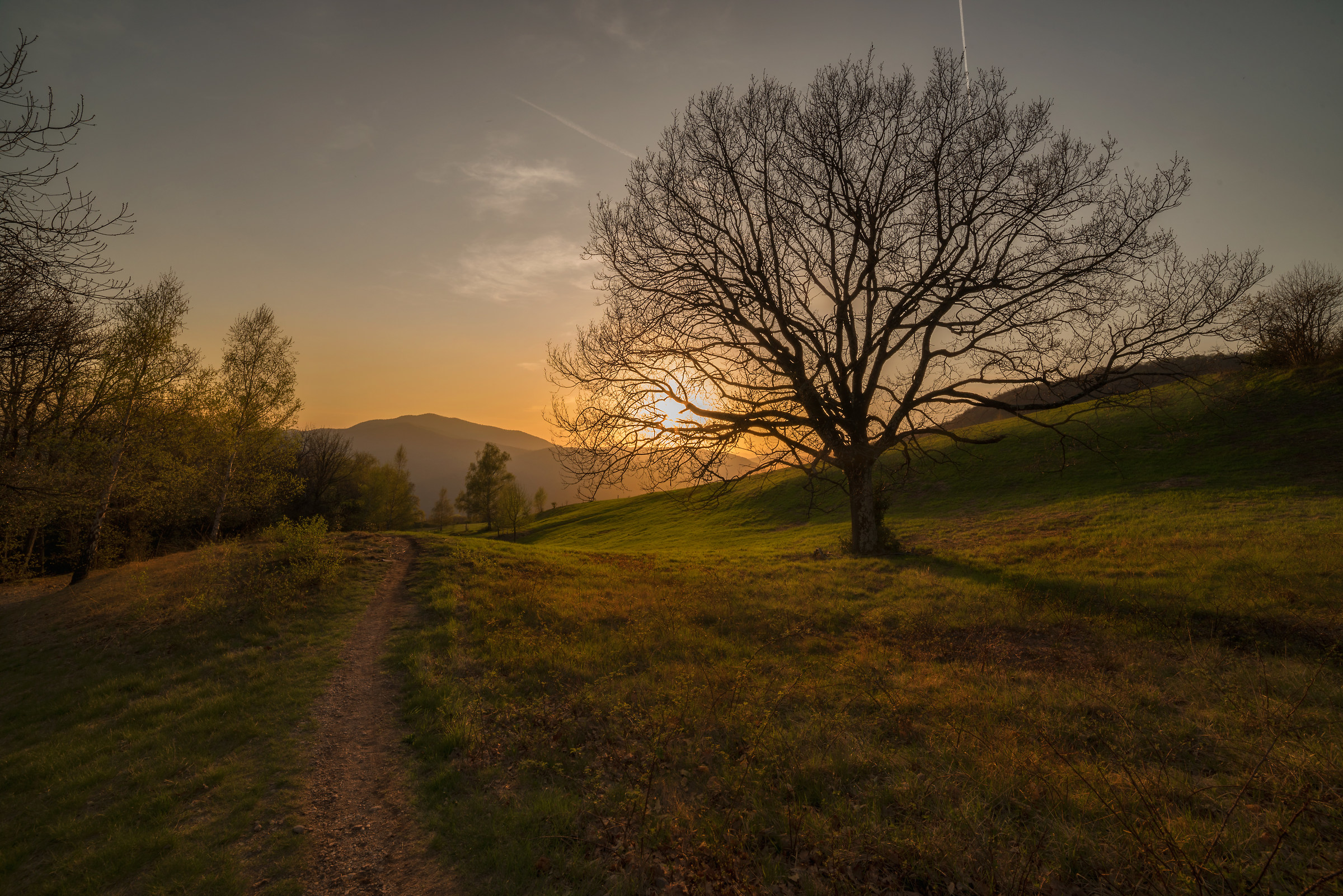 The simple beauty of golden hour