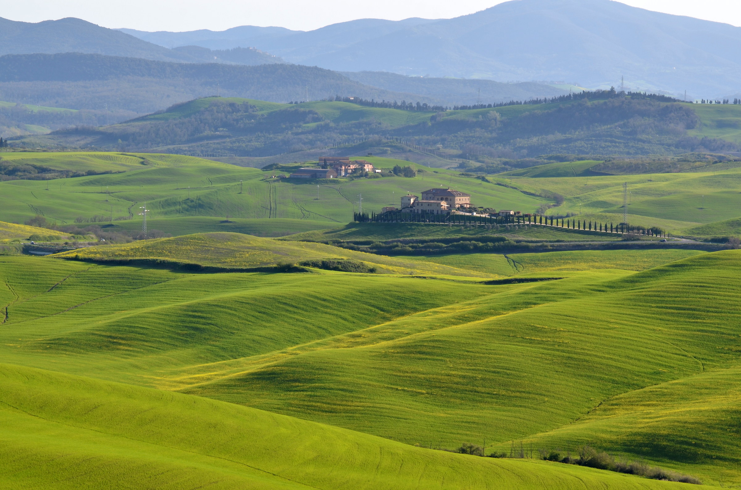 Colline verdi toscane