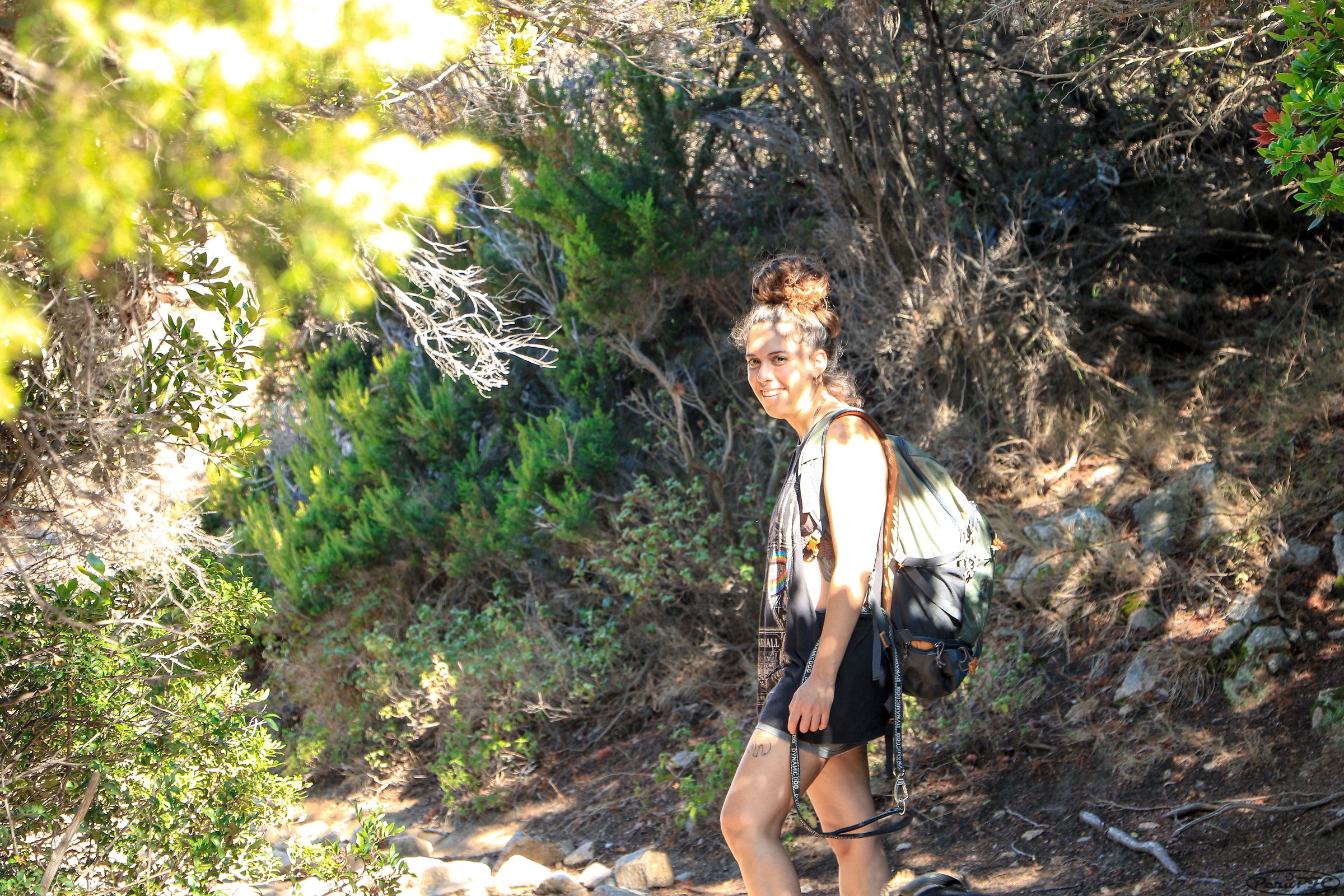 In passeggiata tra gli arbusti