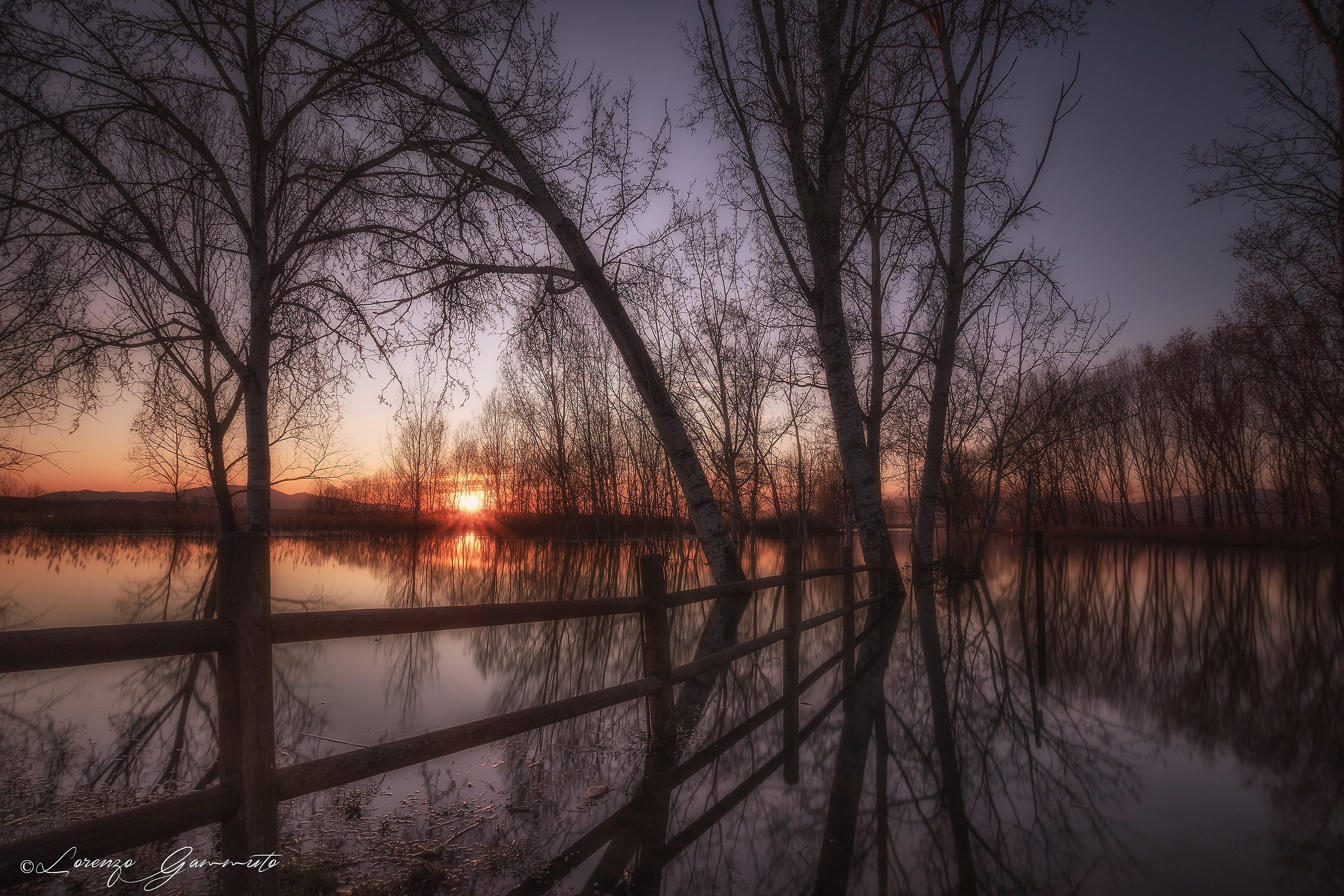 Padule di Fucecchio marzo 2018