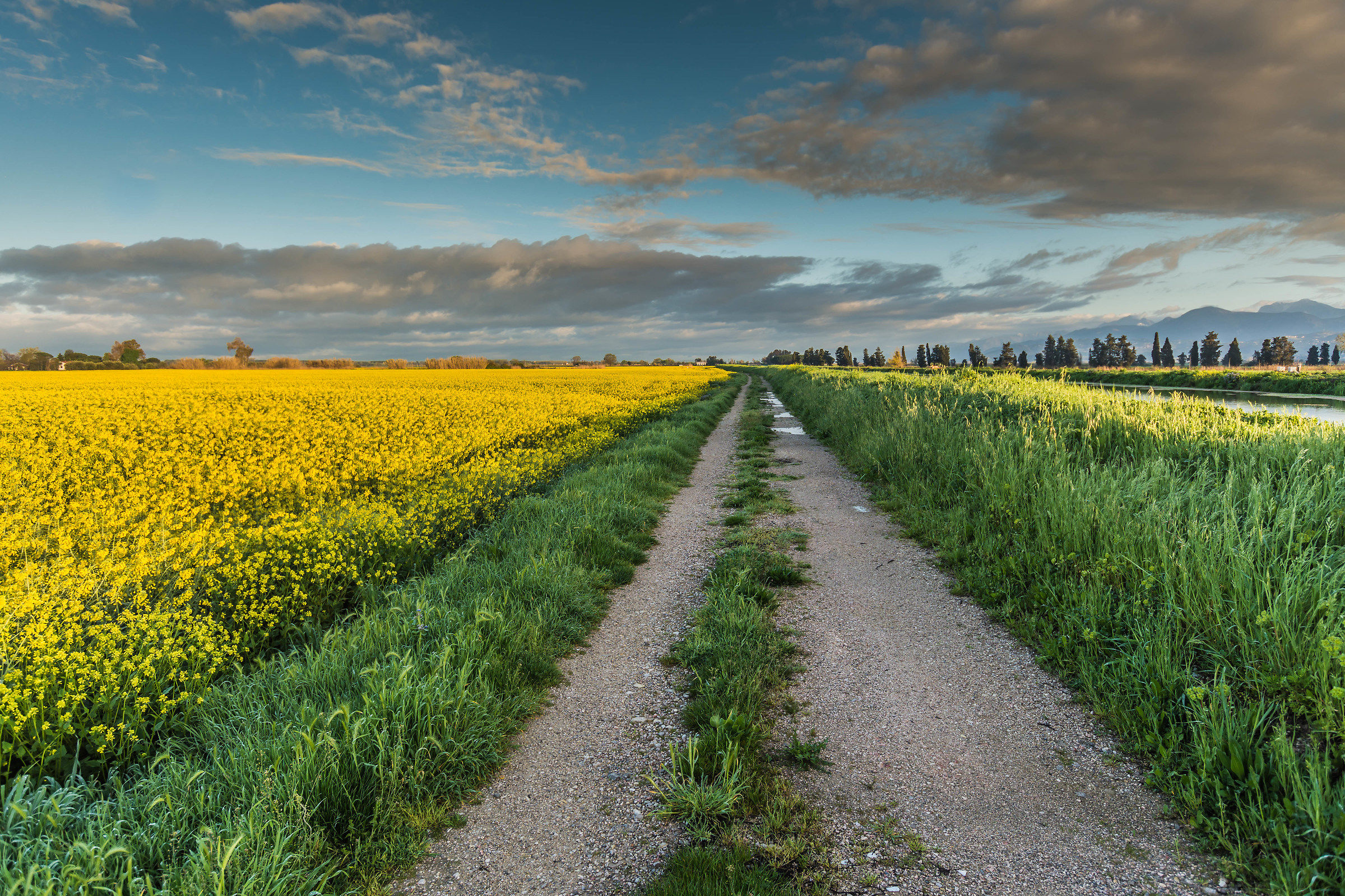 Il giallo e il verde