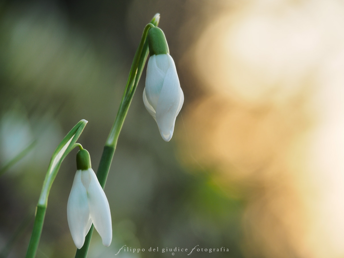 New life, end of day