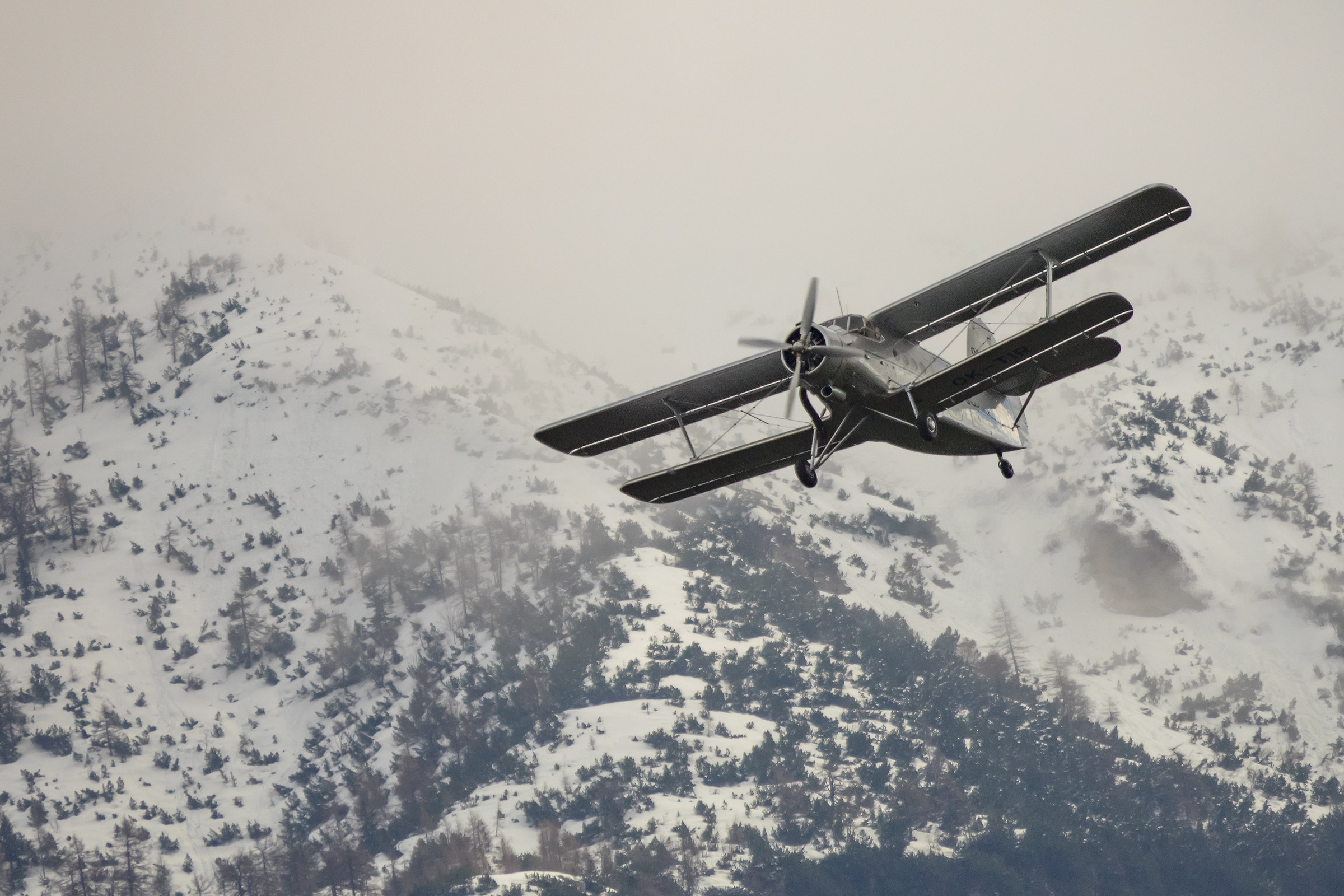 Dove osano le aquile......