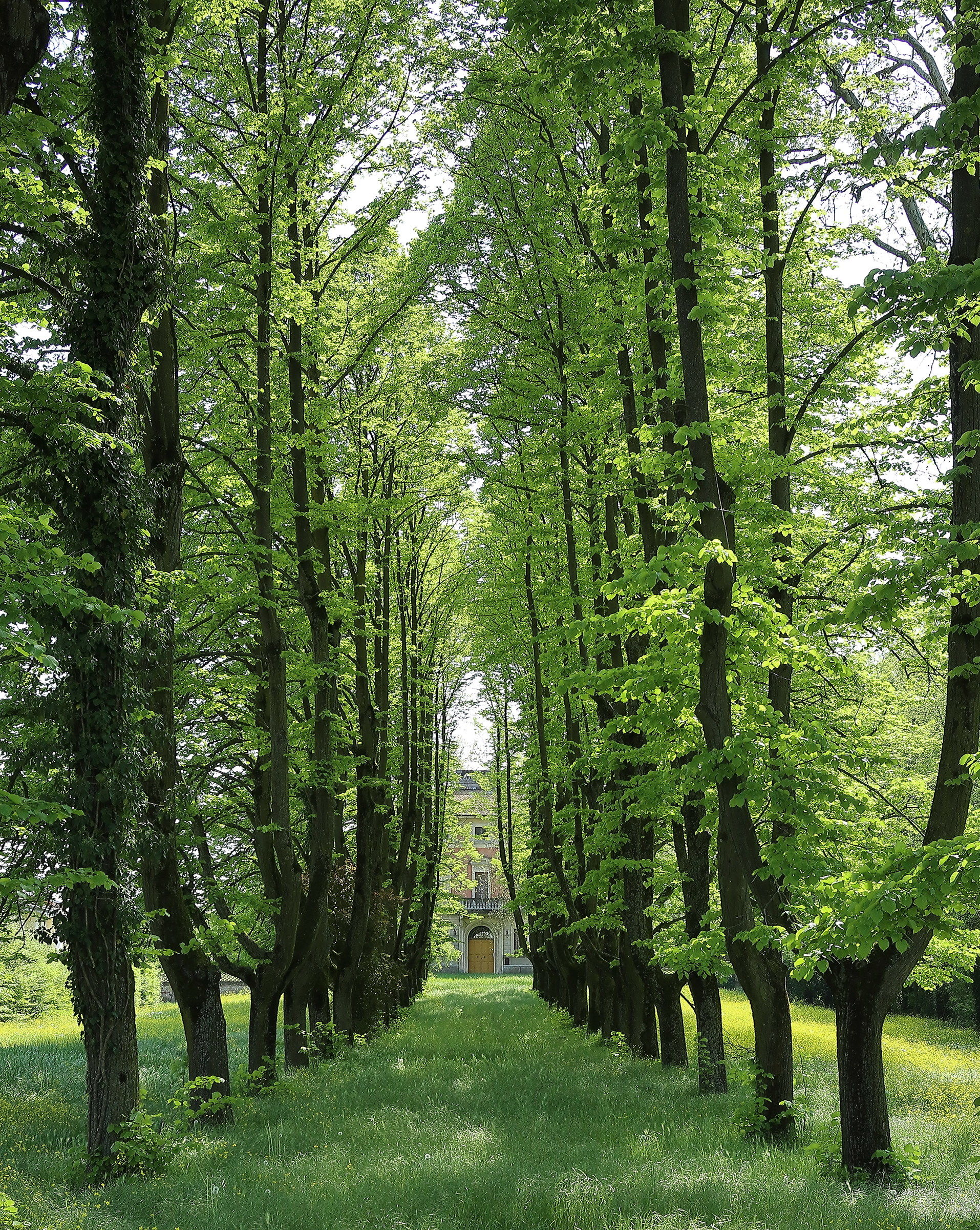 Photo April 2018. Villa Cremona (currently uninhabited)