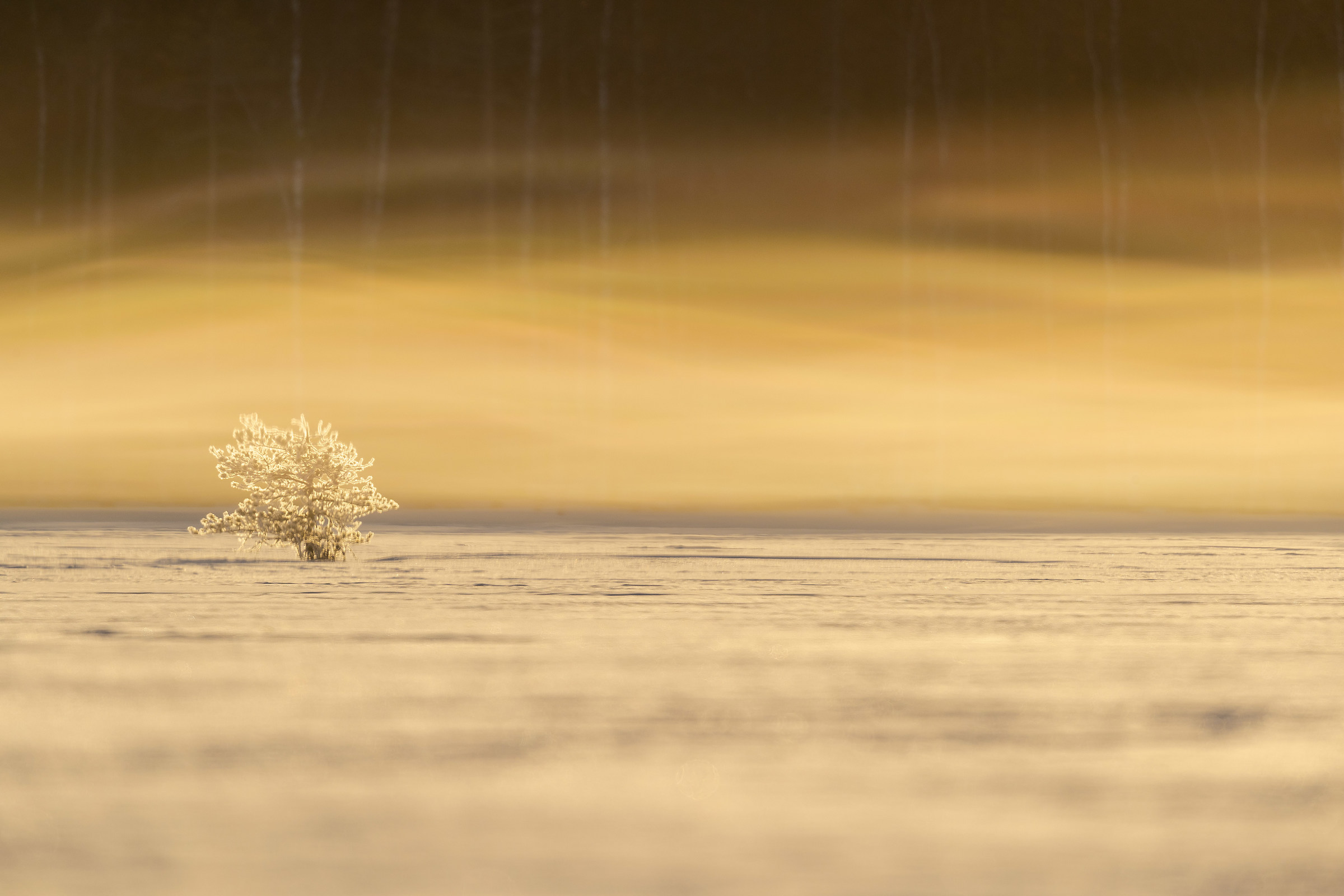 A very cold morning on the mire, -15!