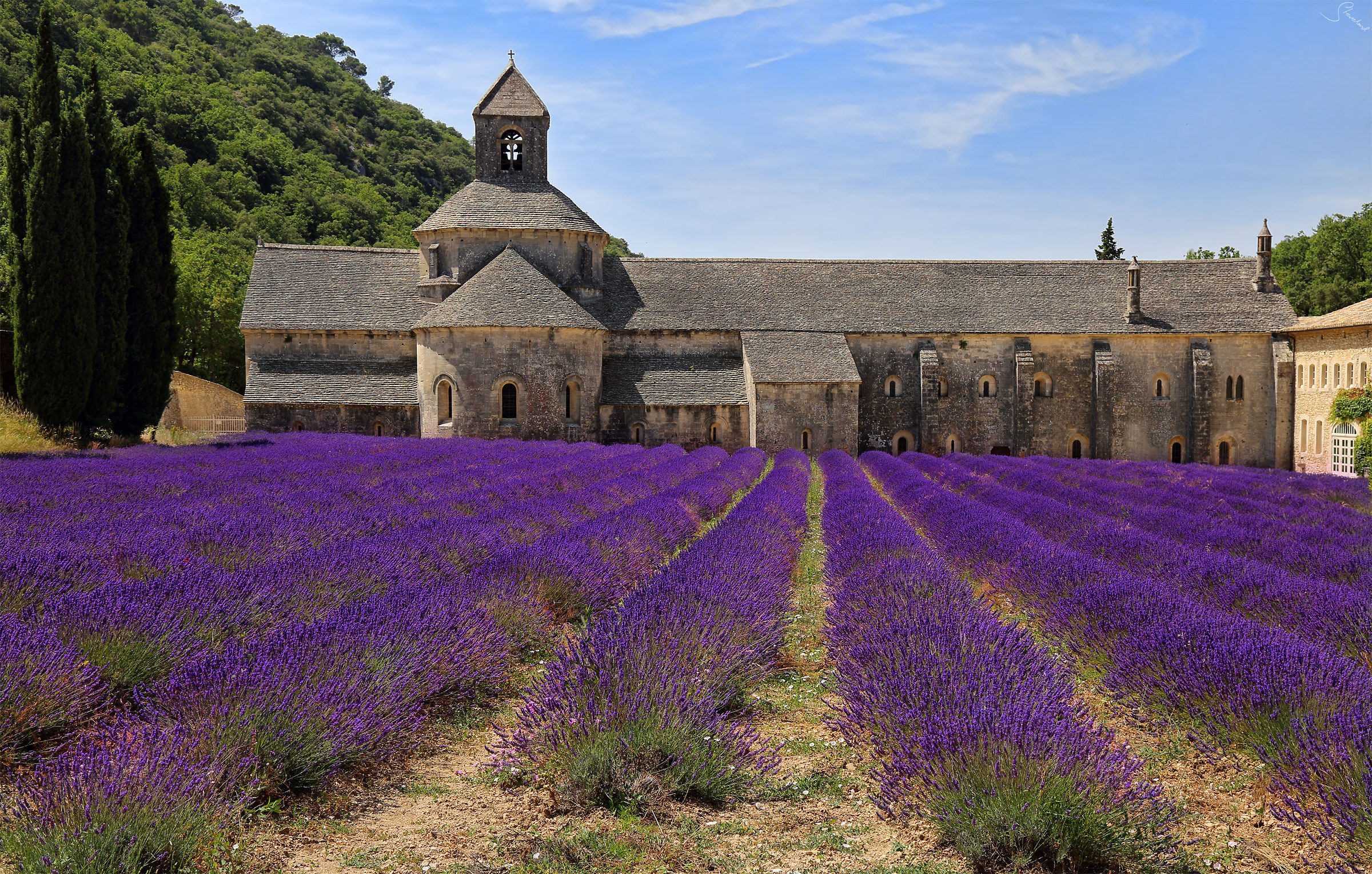 Abbey of Sénanque