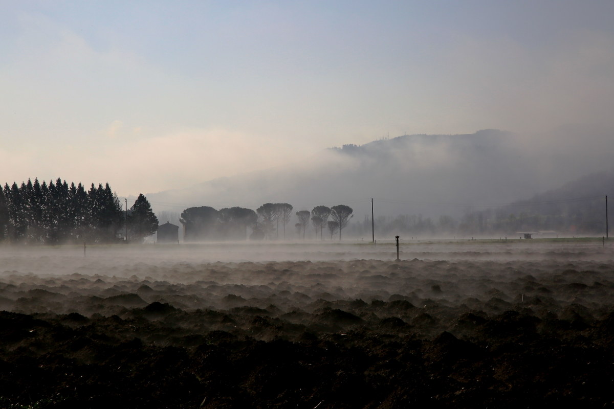 The fog to irtio hills. ..