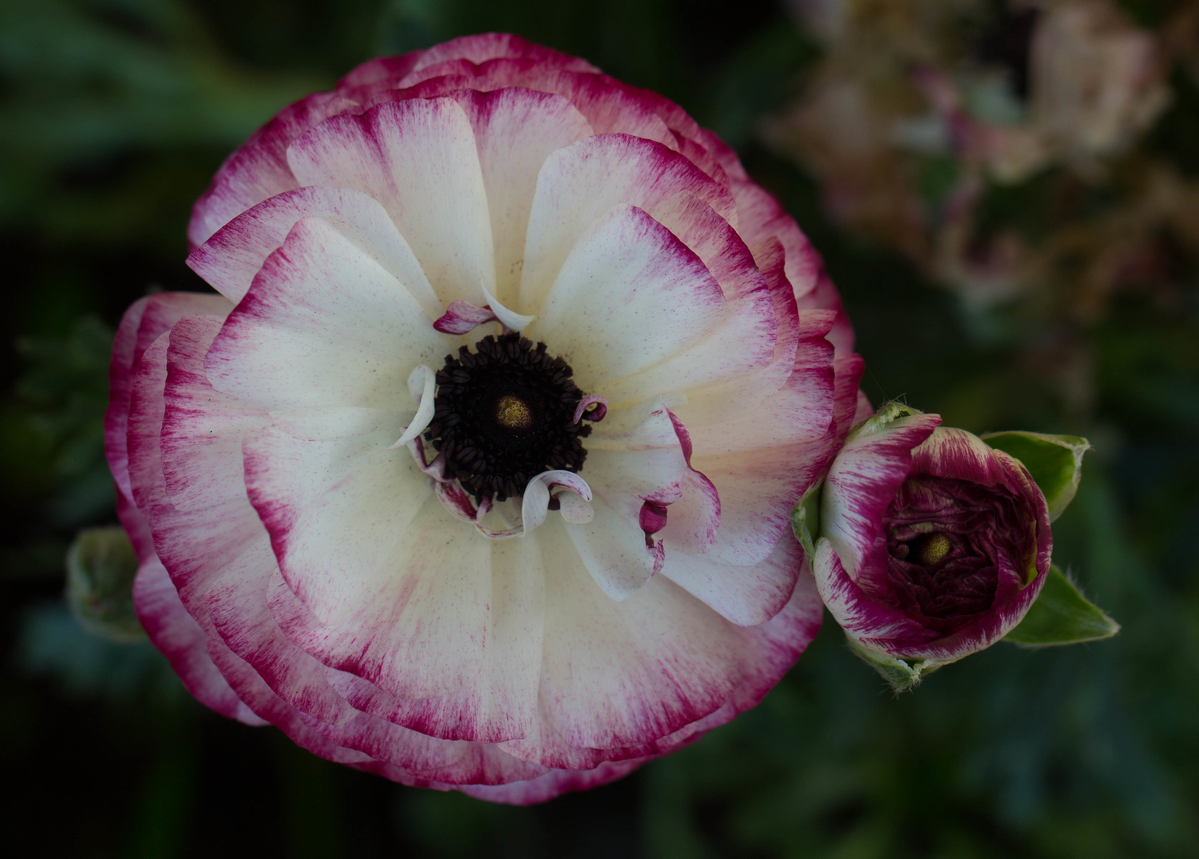 La mamma e la figlia