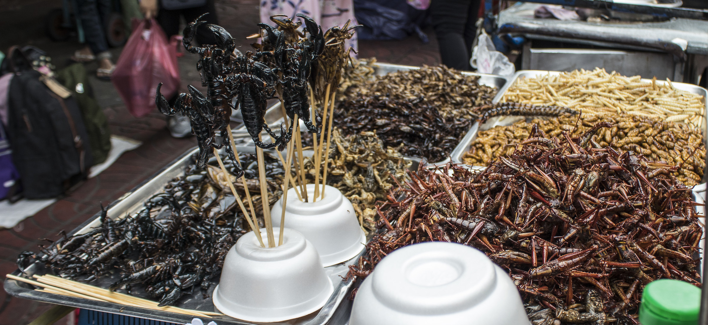 Market Street Food II