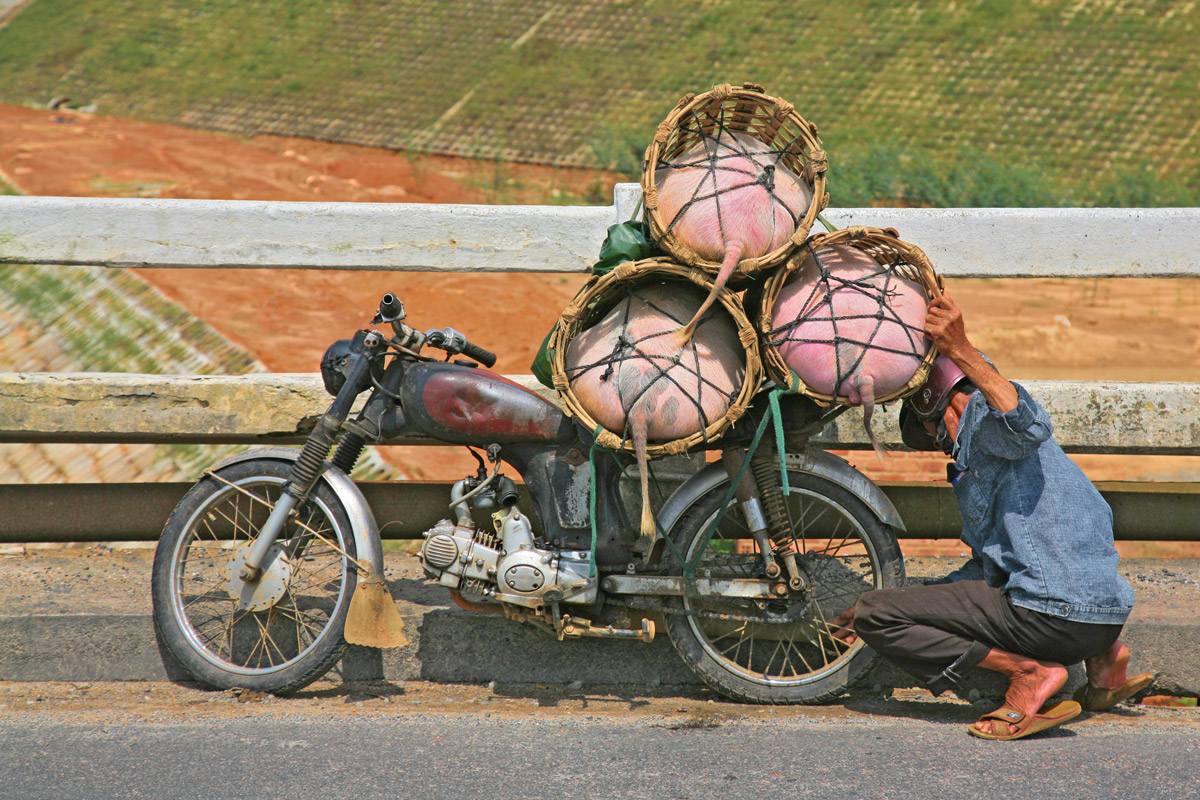 Trasporti speciali...