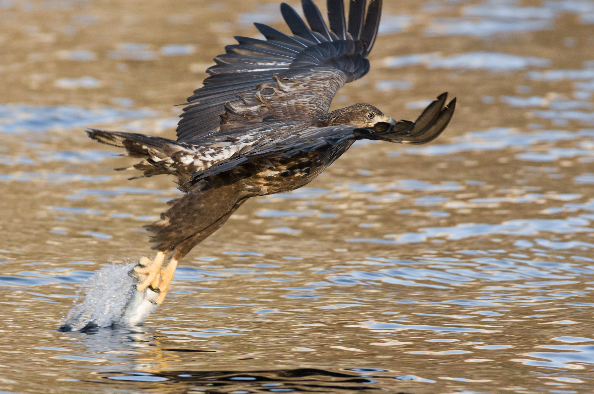 E anche oggi lo spuntino l'abbiamo...