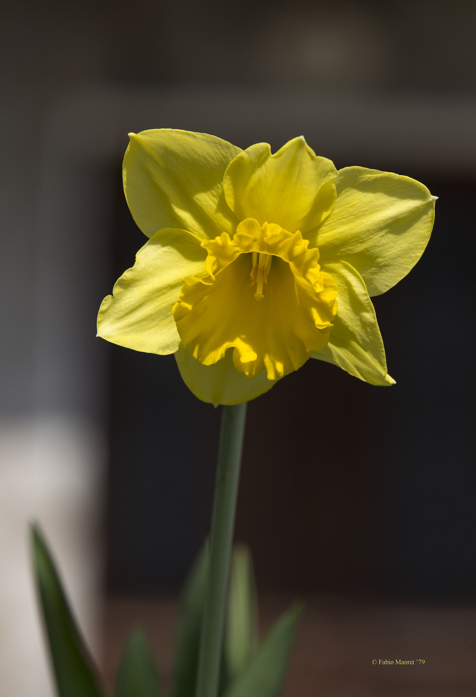 Spring In Full Swing ...