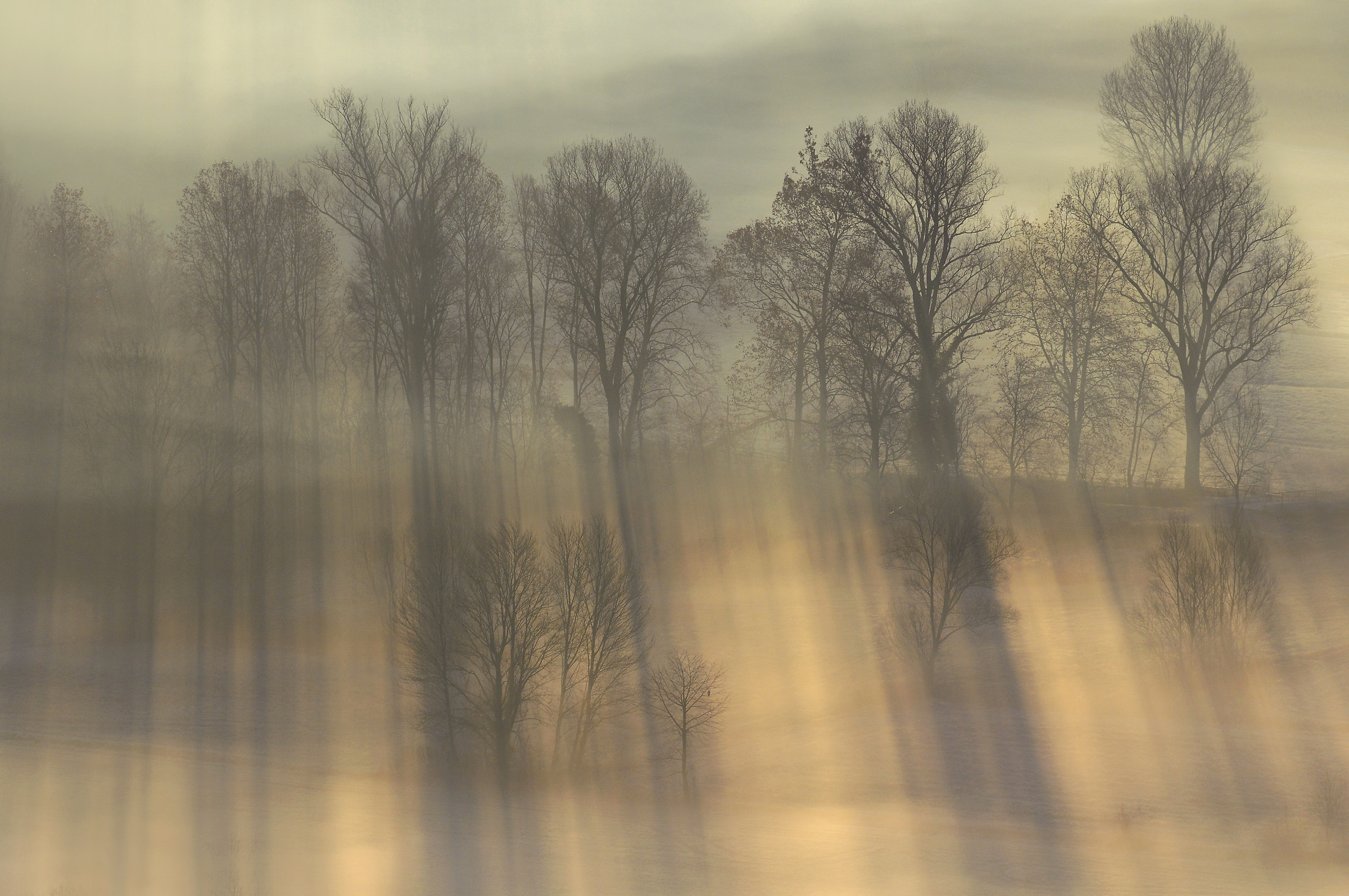 luci ed ombre alla piana dell' Adda