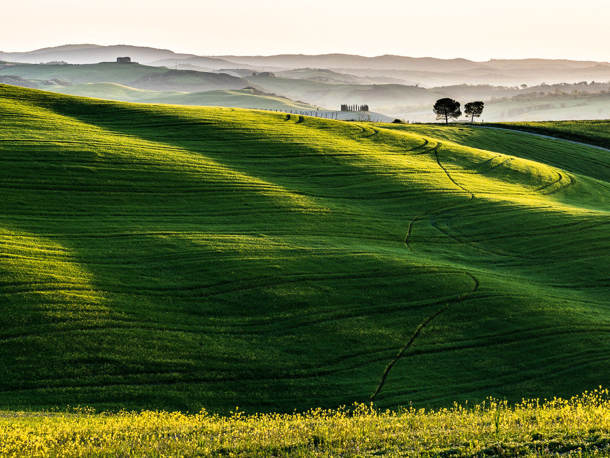 Vernal Morning in Val d'Orcia