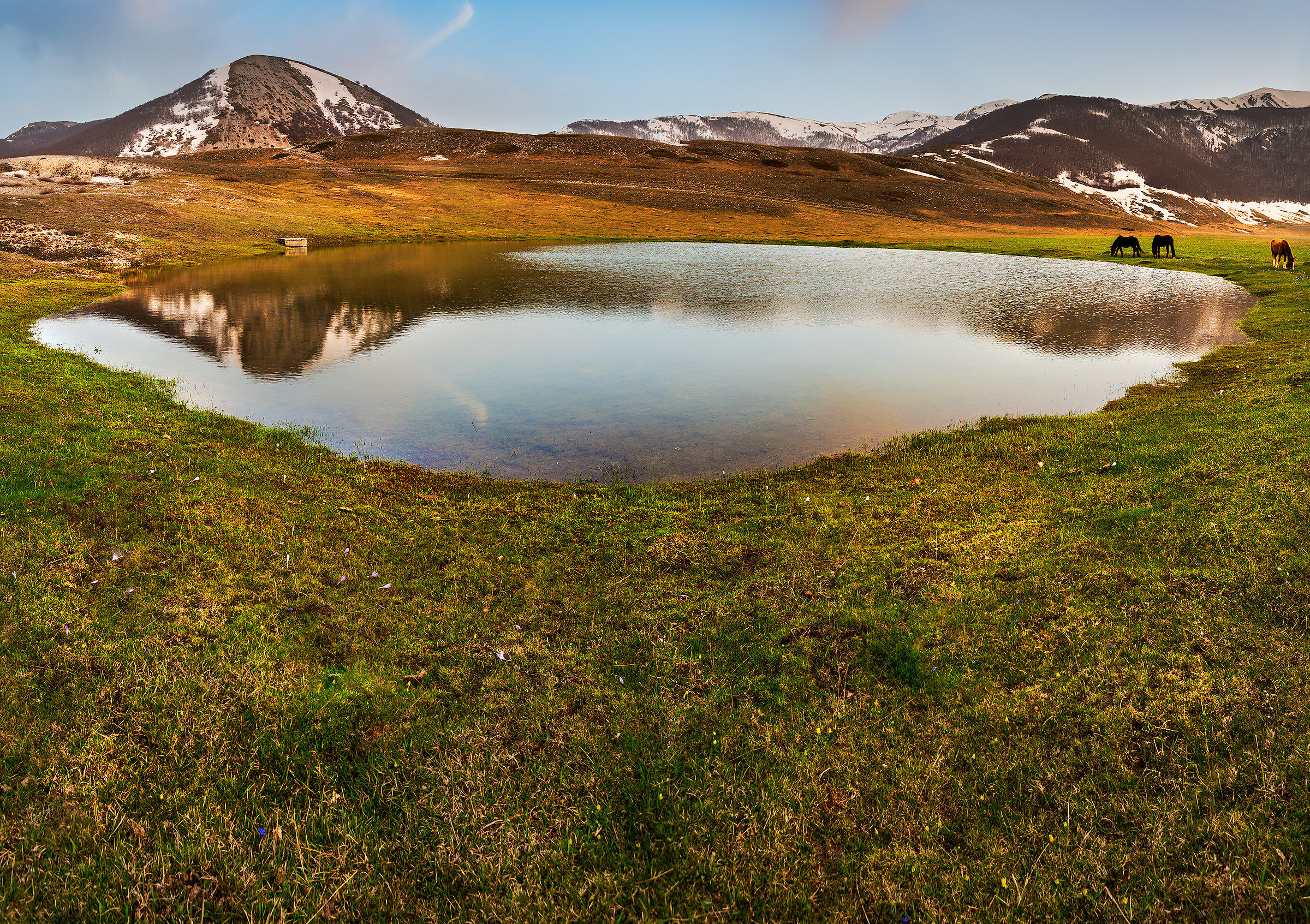 Oasis of peace-rag Tops