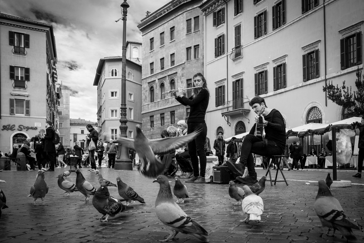 "Grand Jeté ' of the pigeon