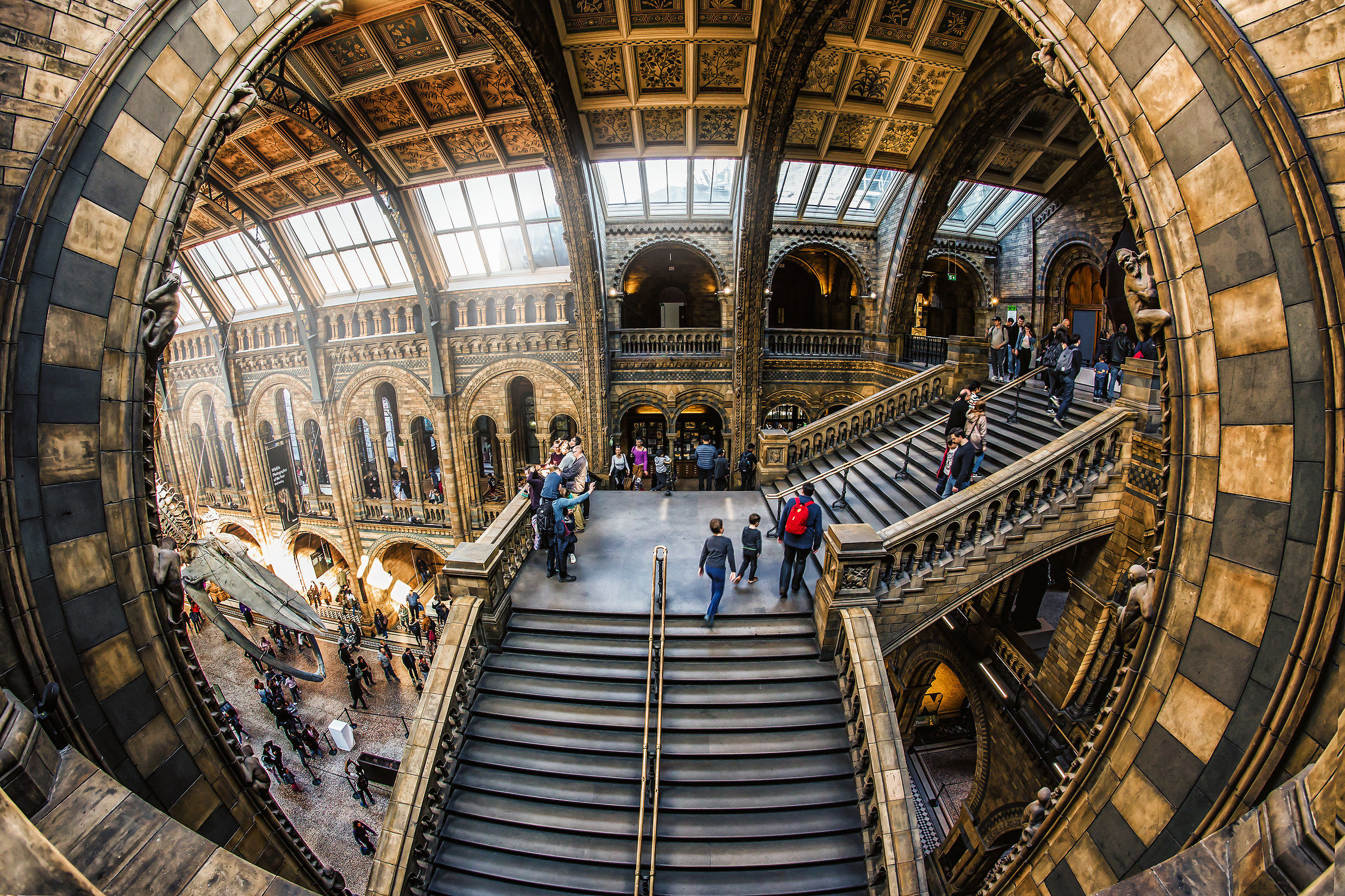 Through a Stone Pupil