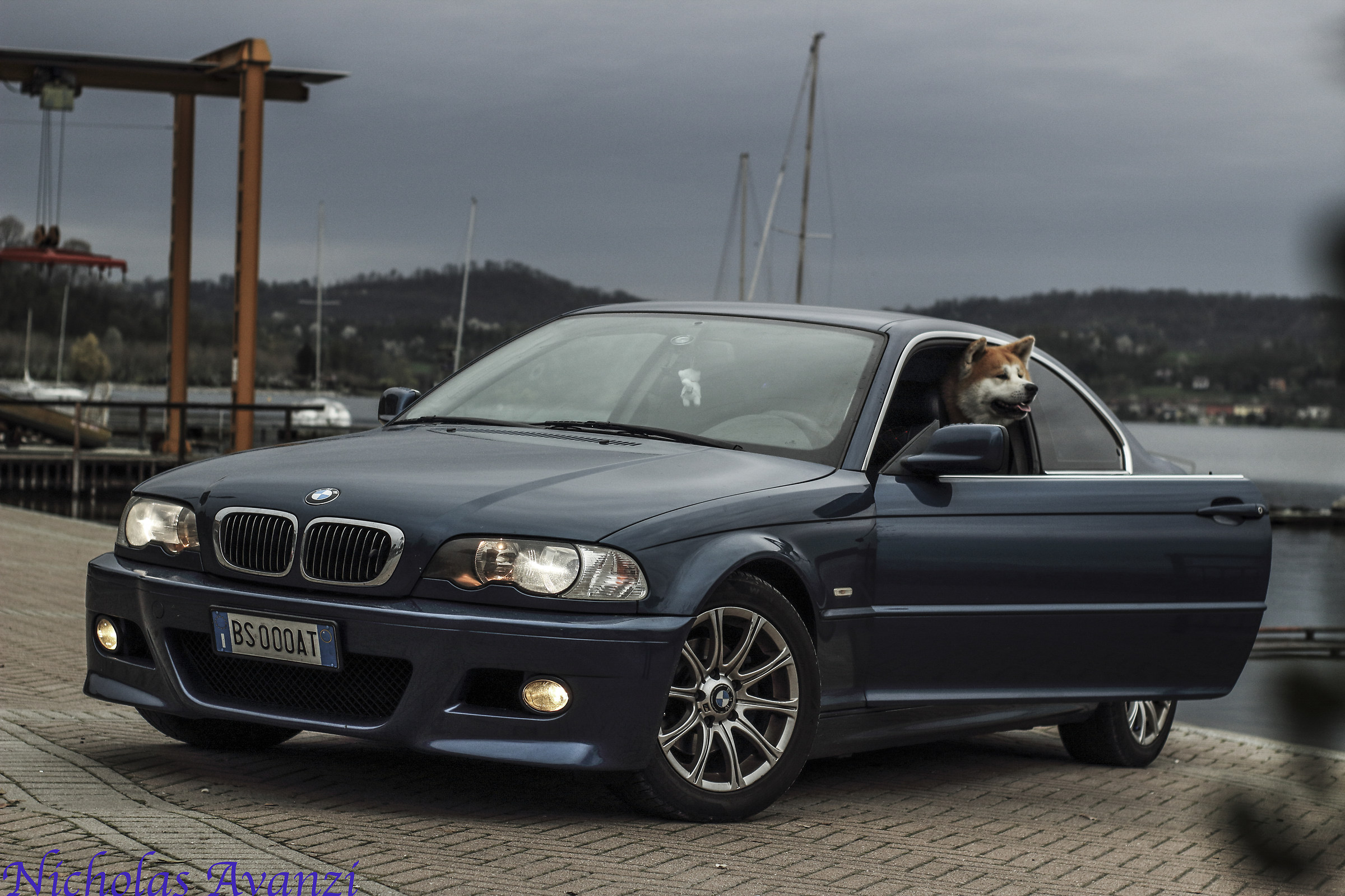 BMW e46 + Kuma a bordo