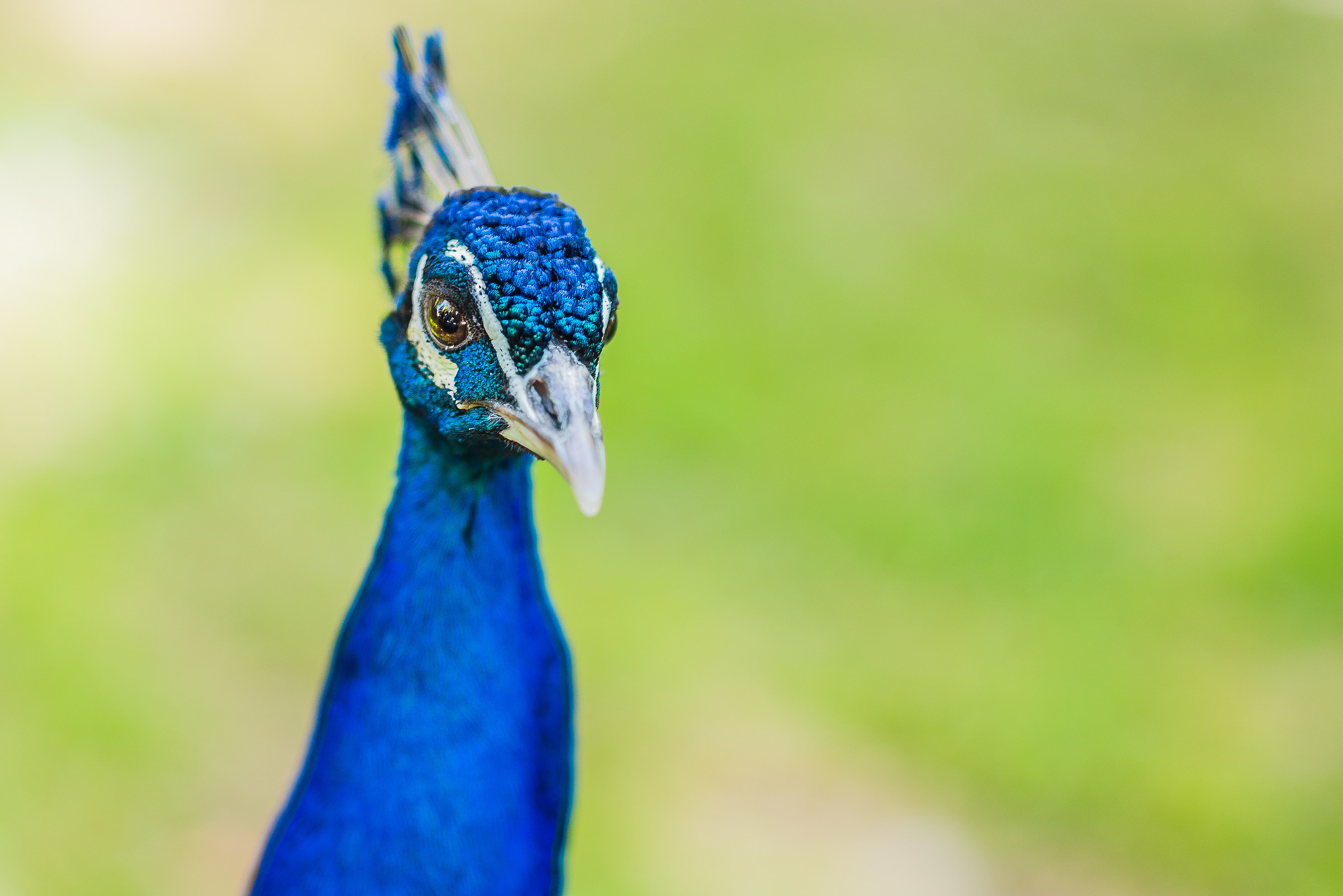 Fermo cosi....fai Ciiiissss...!