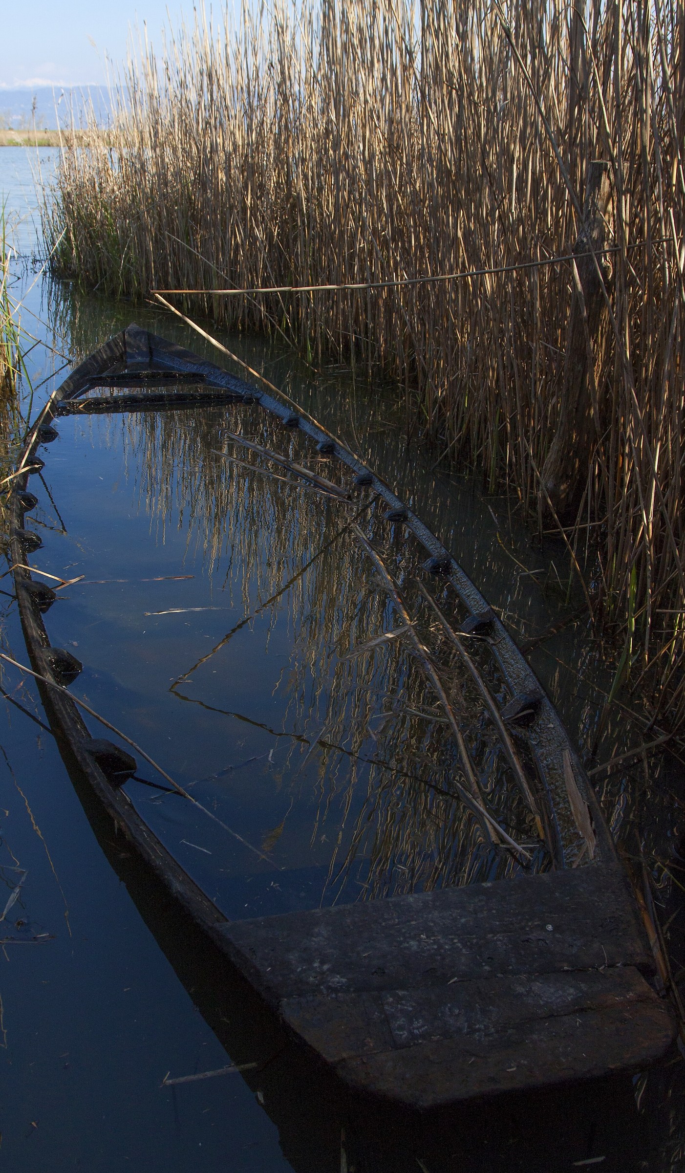 Fishing in the Marsh