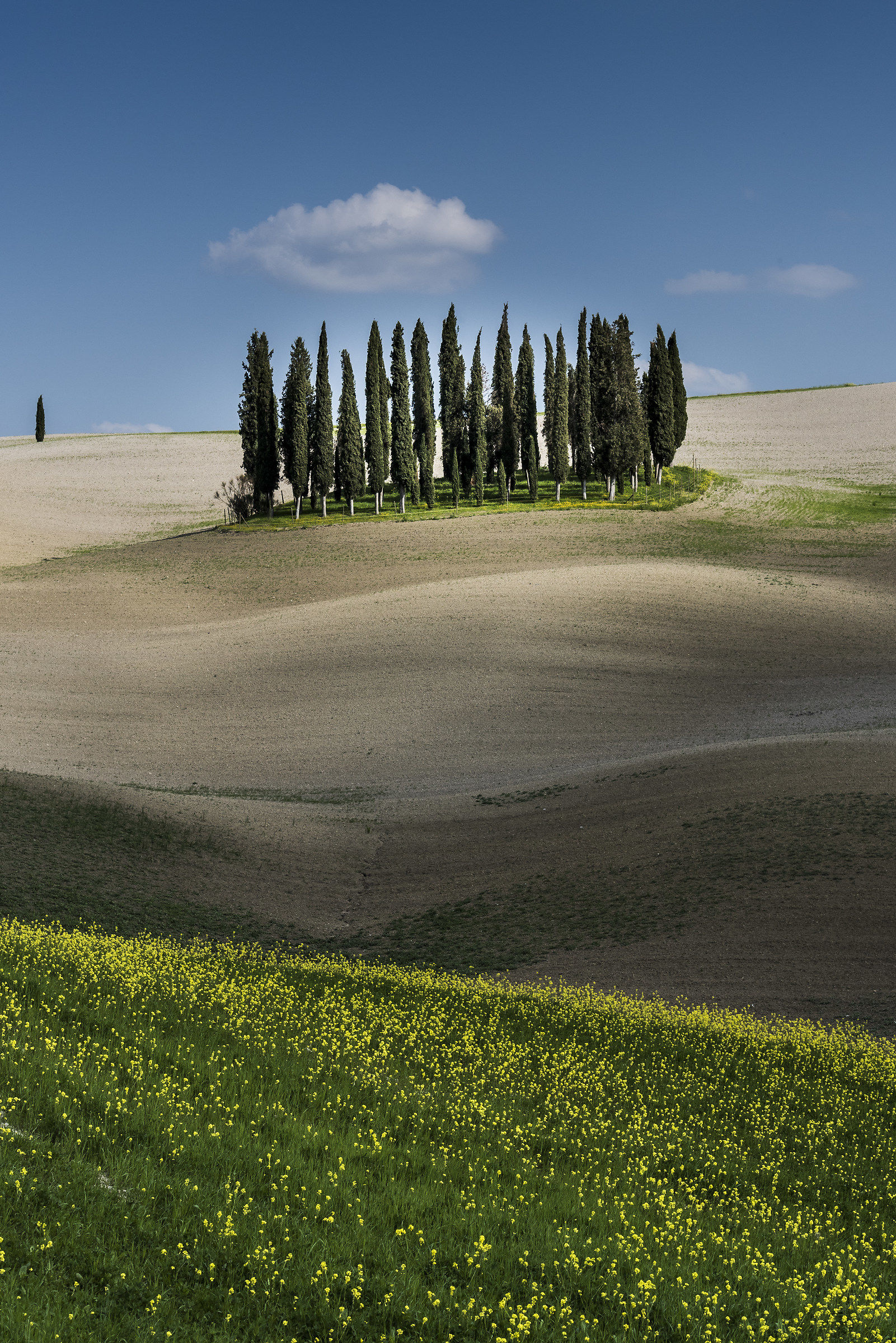 Un classico nella val d'Orcia