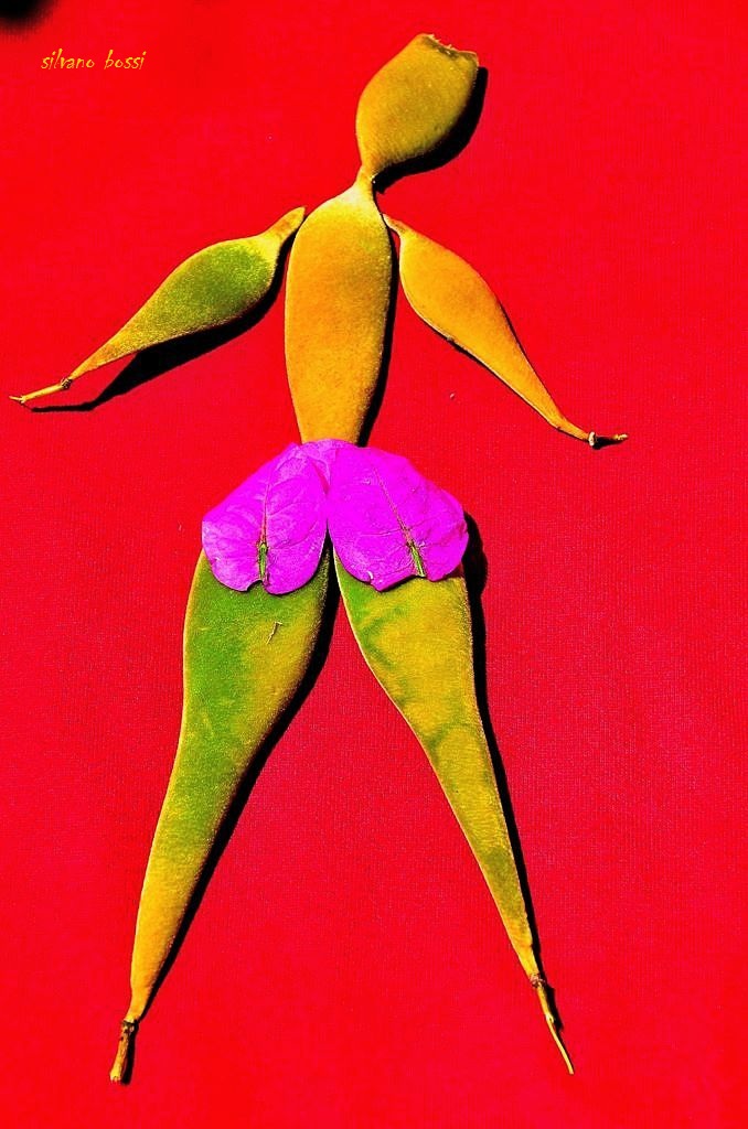 semi e fiori prendono forma