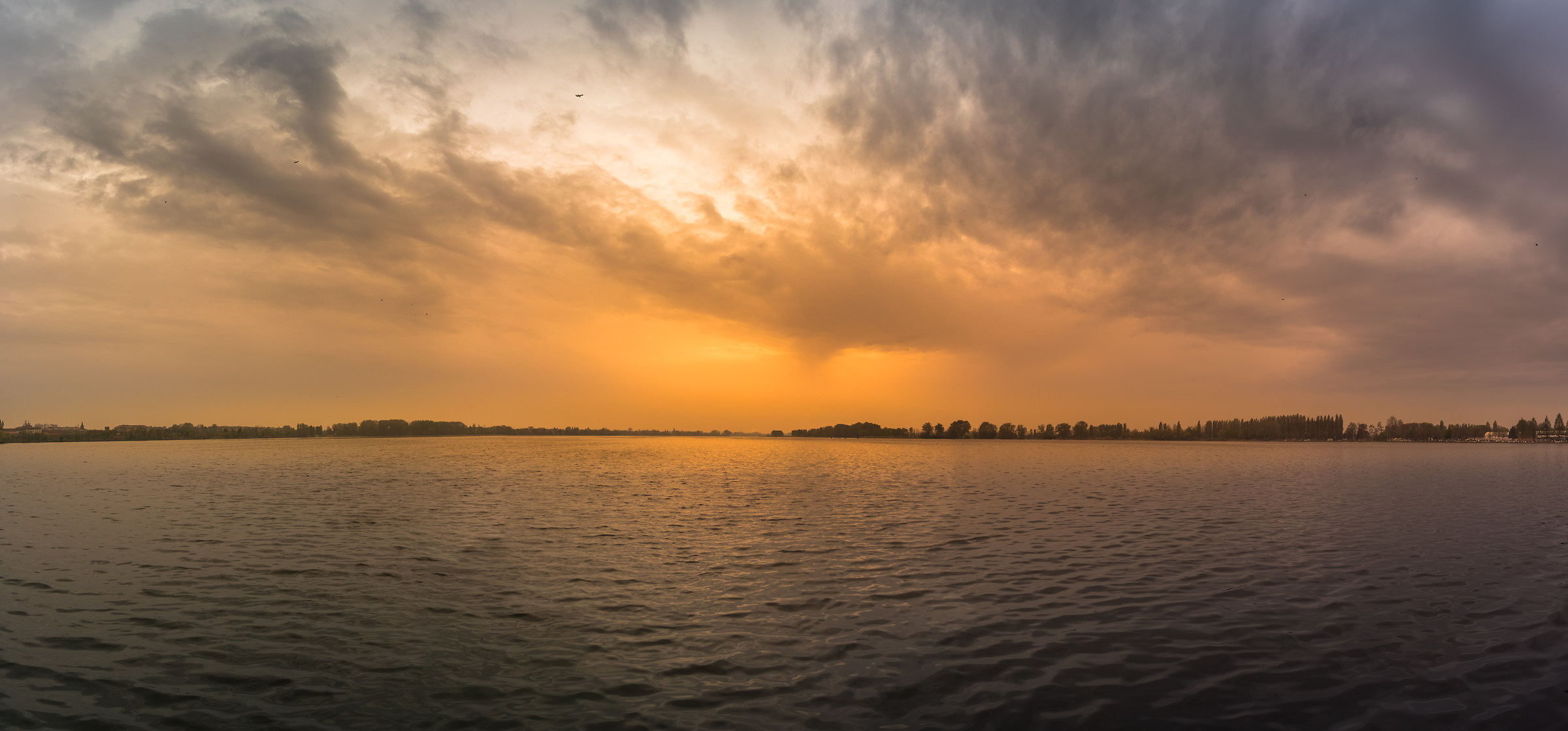 Sul Lago Dorato (Mantova).