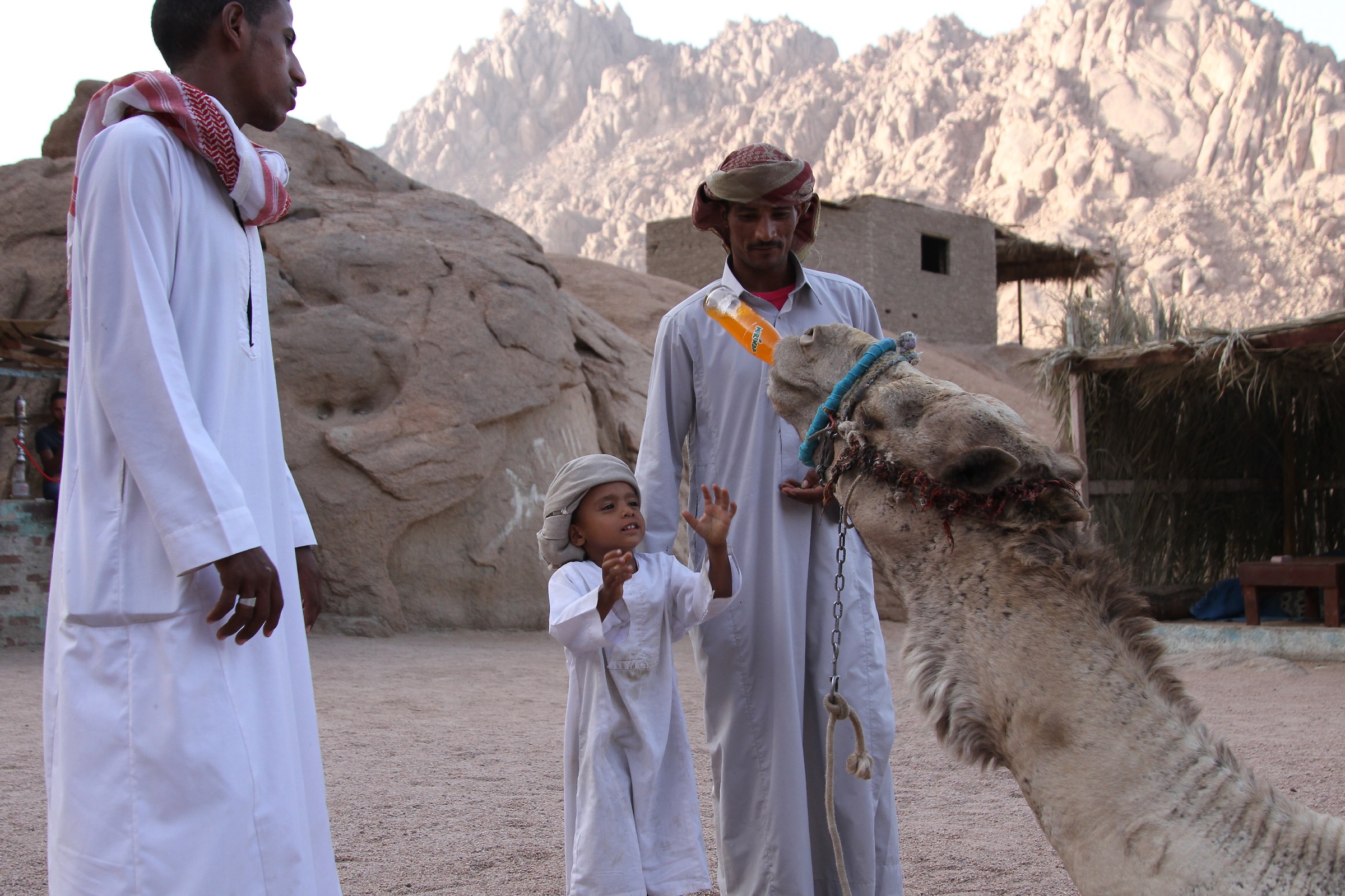 Bedouins of Sinai
