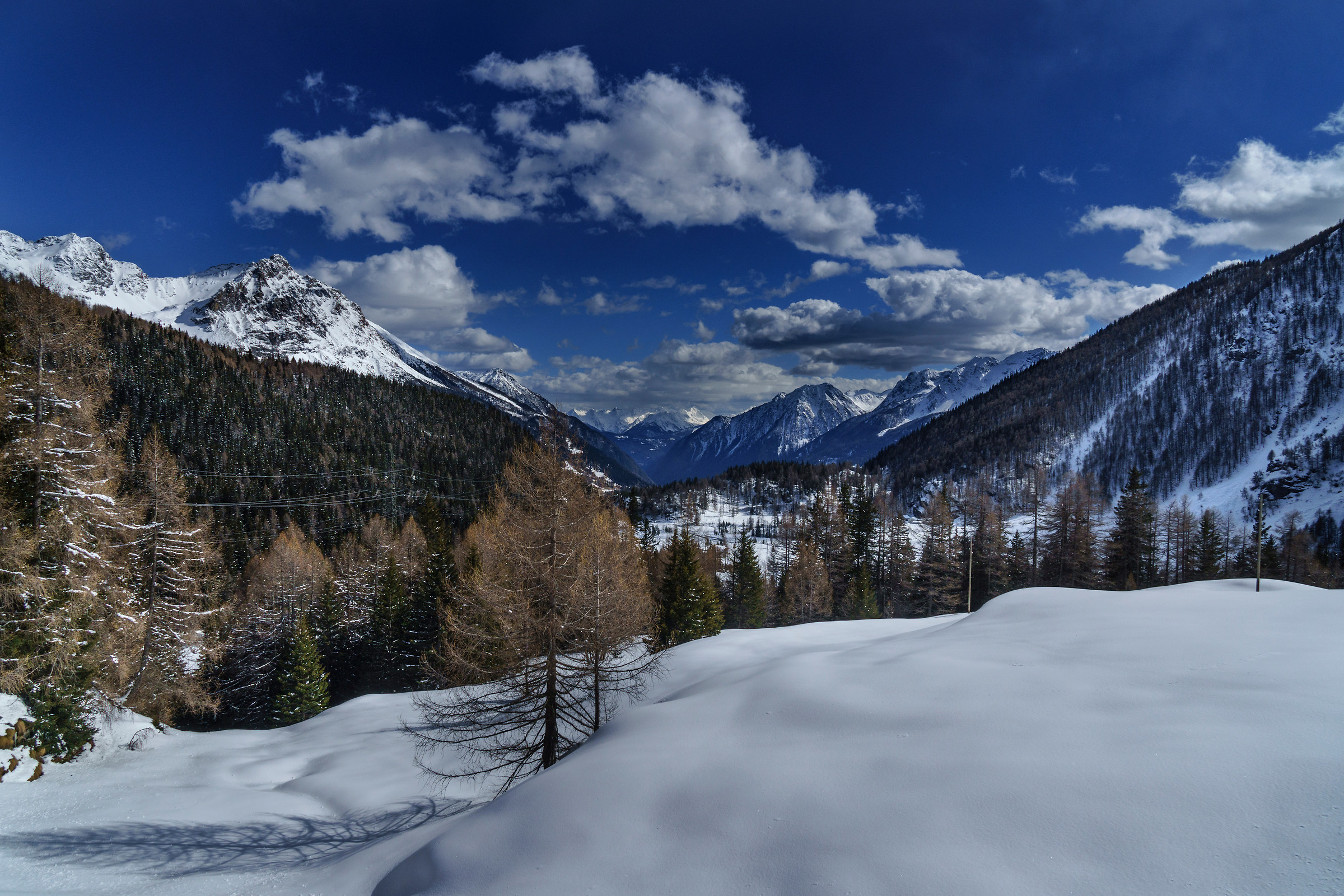 Bernina - Alpi retiche