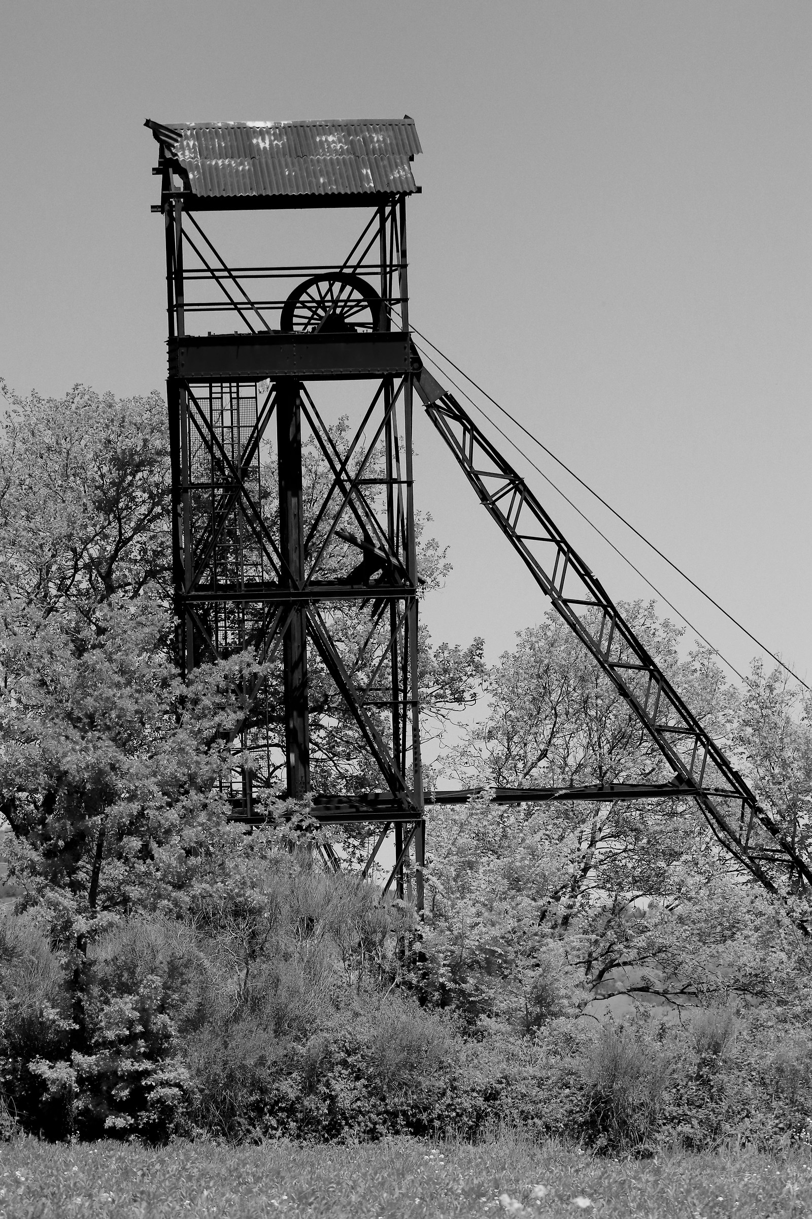 first shot of black and white