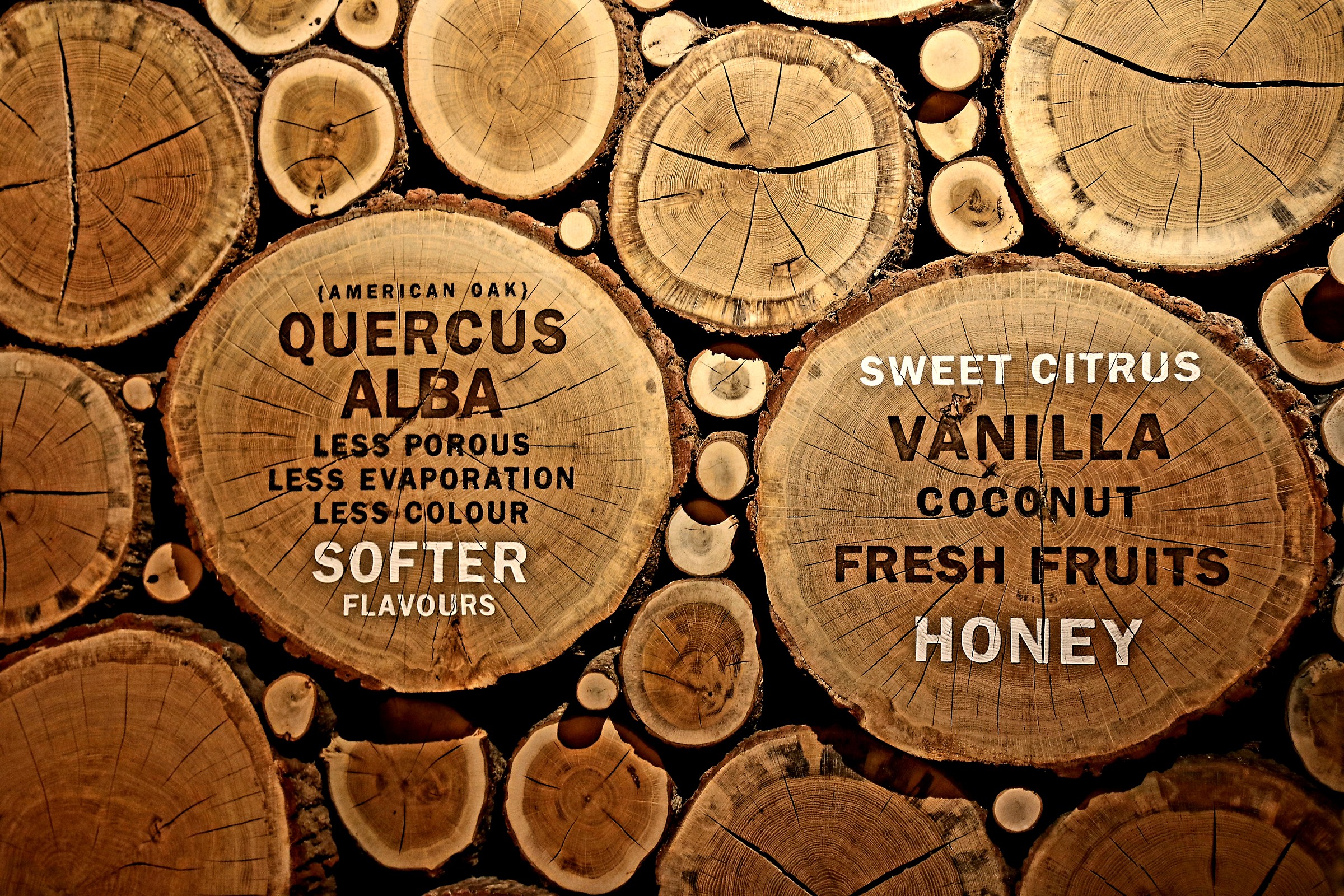 Glengoyne Distillery