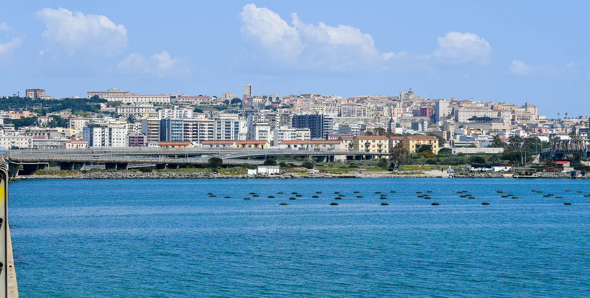 The stagno di Cagliari (scaffa bridge) Gani.