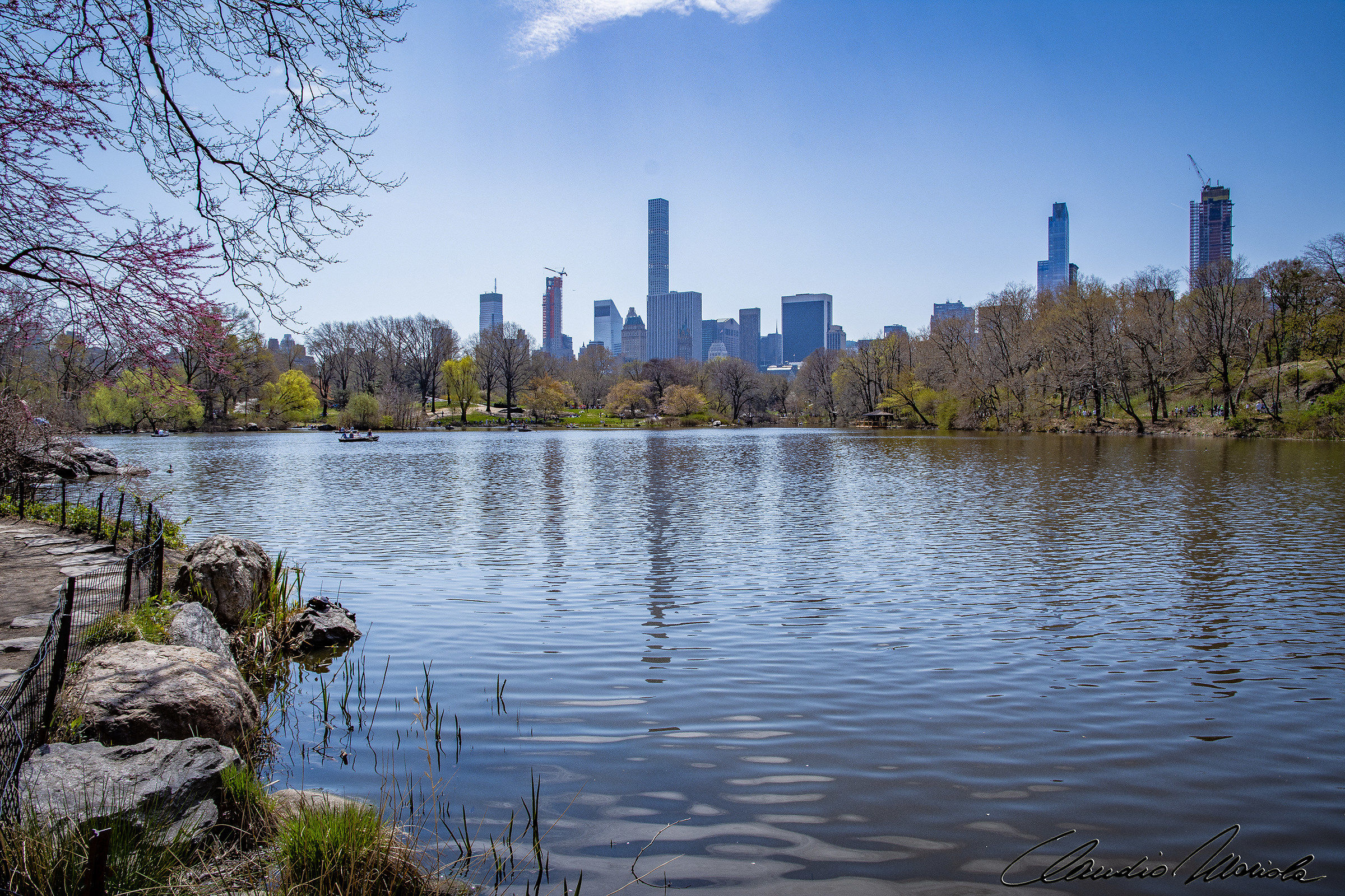 Pond in Central Park