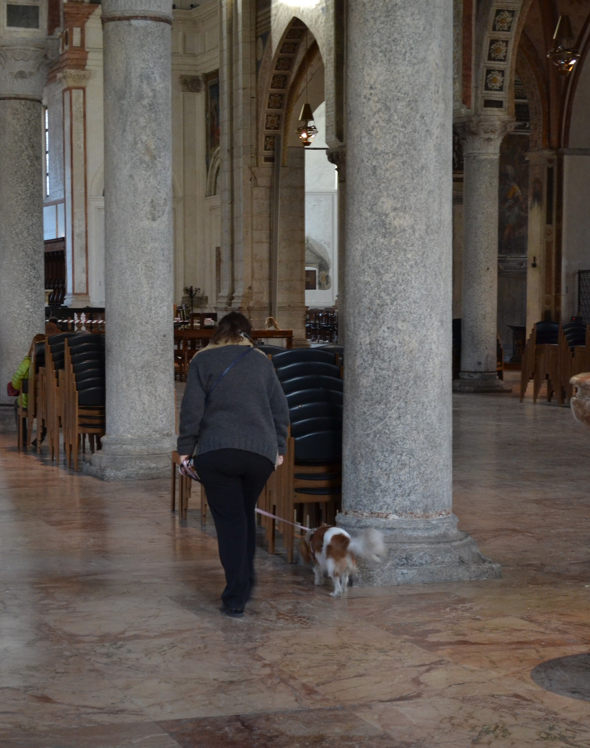 Decade of the saying "lucky as a dog to church"